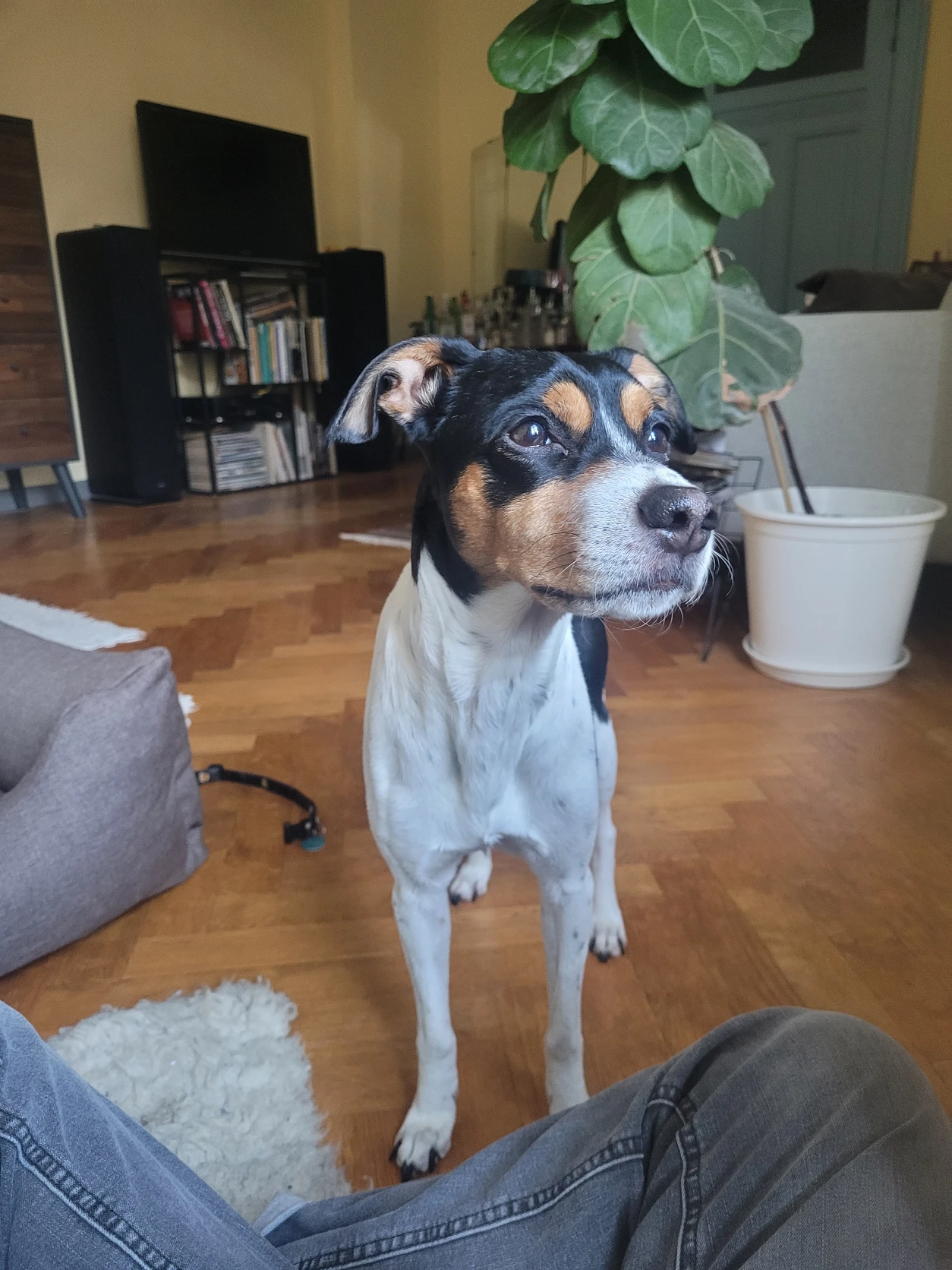 image-16
