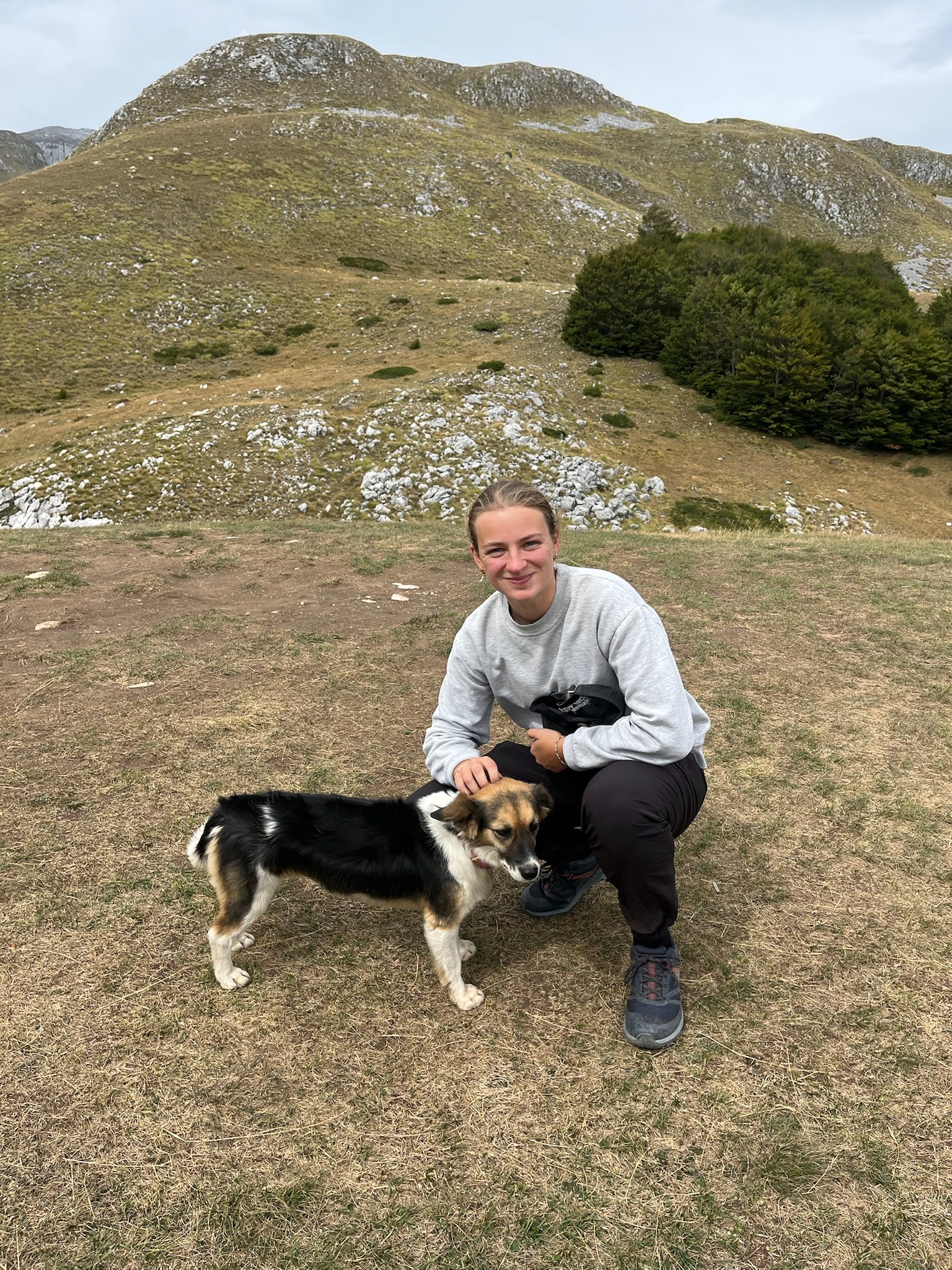 image-8