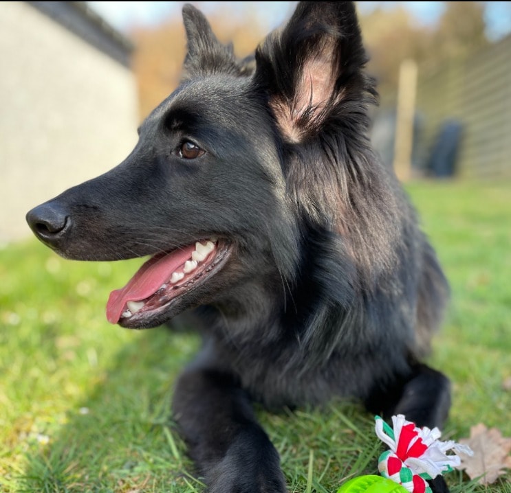 Thoran