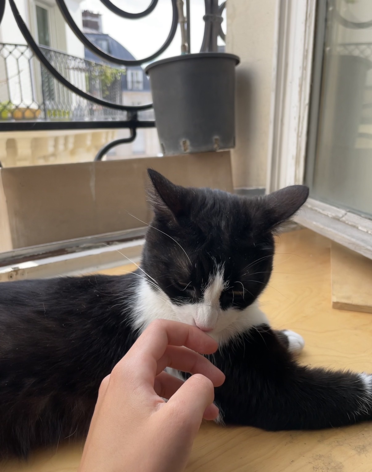 image-6