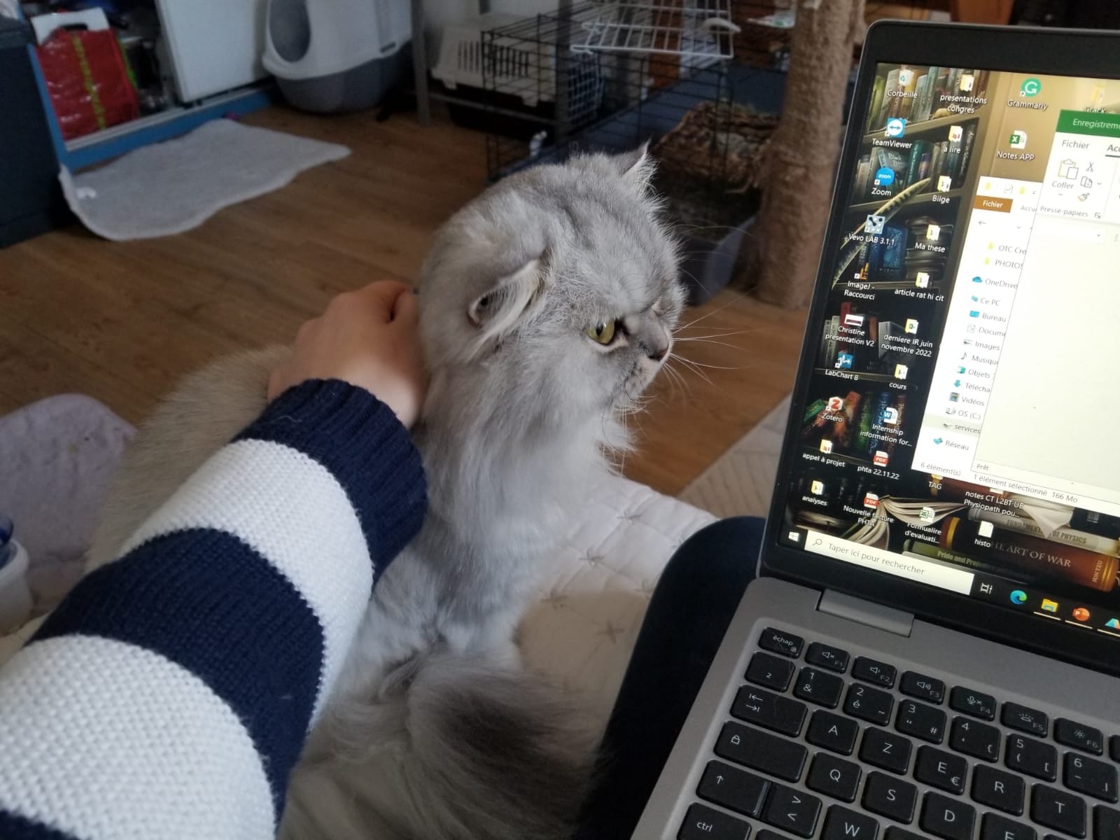 image-7