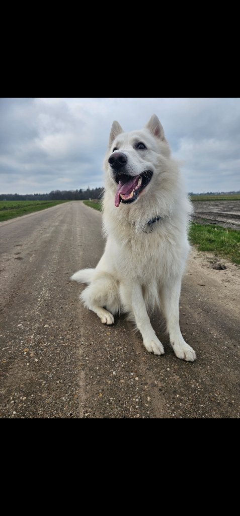 Cooper