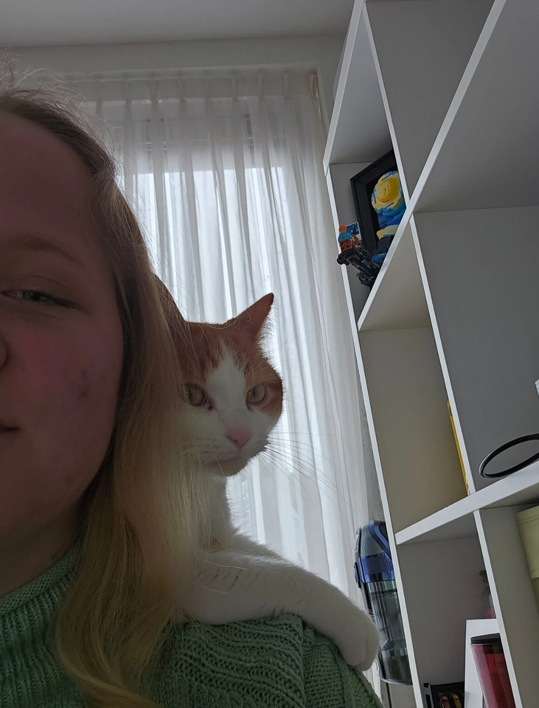 image-13
