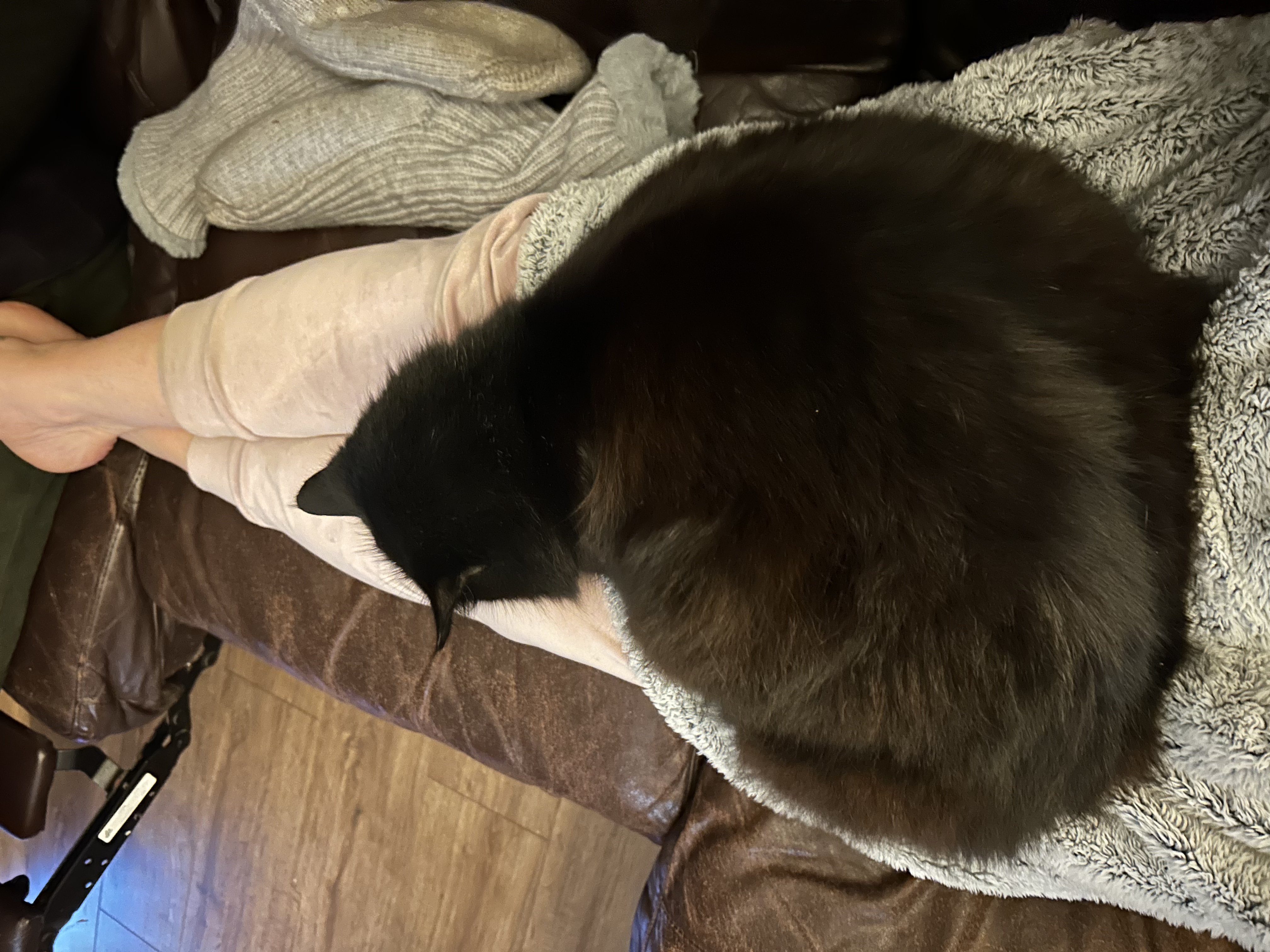 image-18