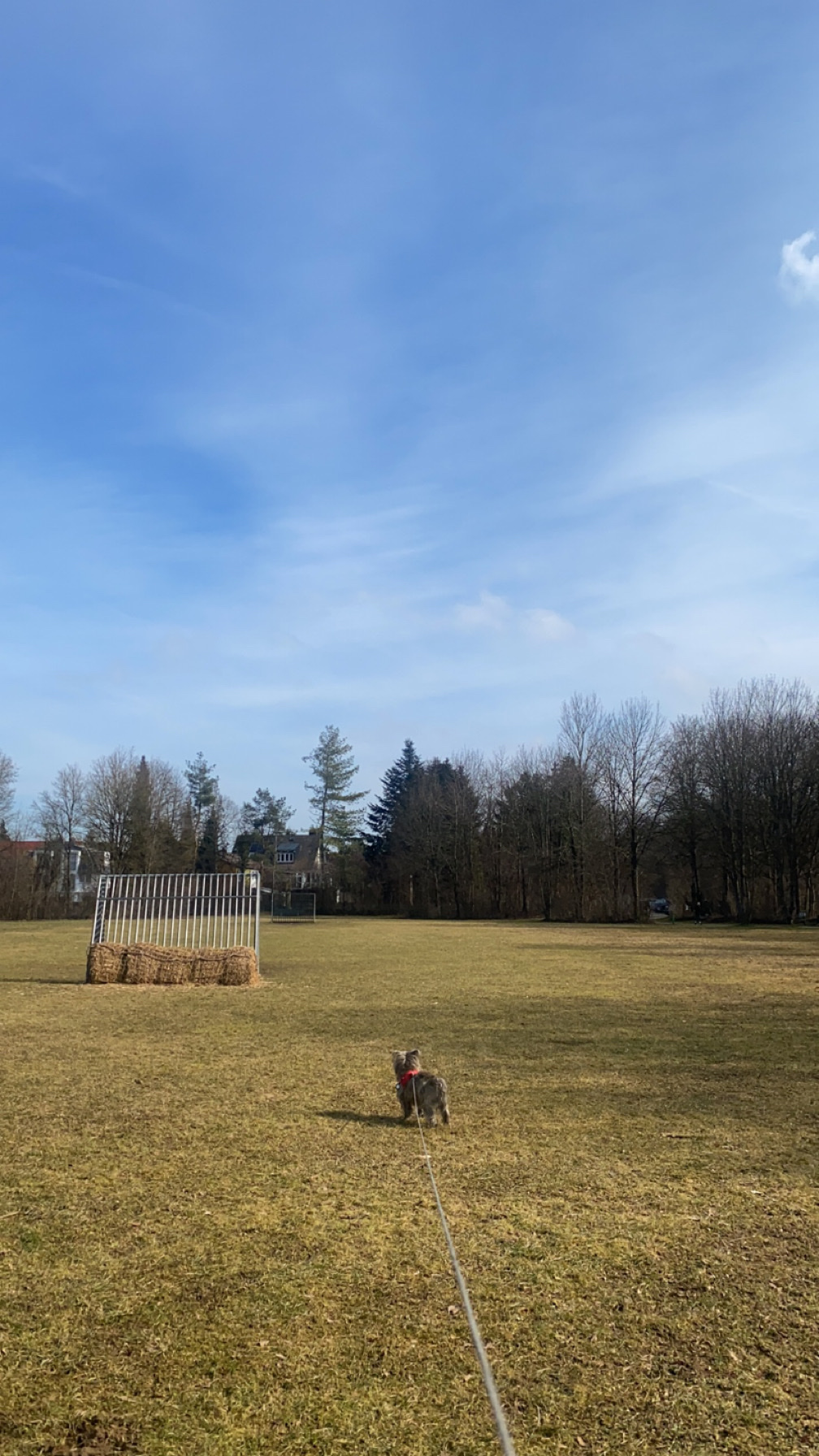 image-18
