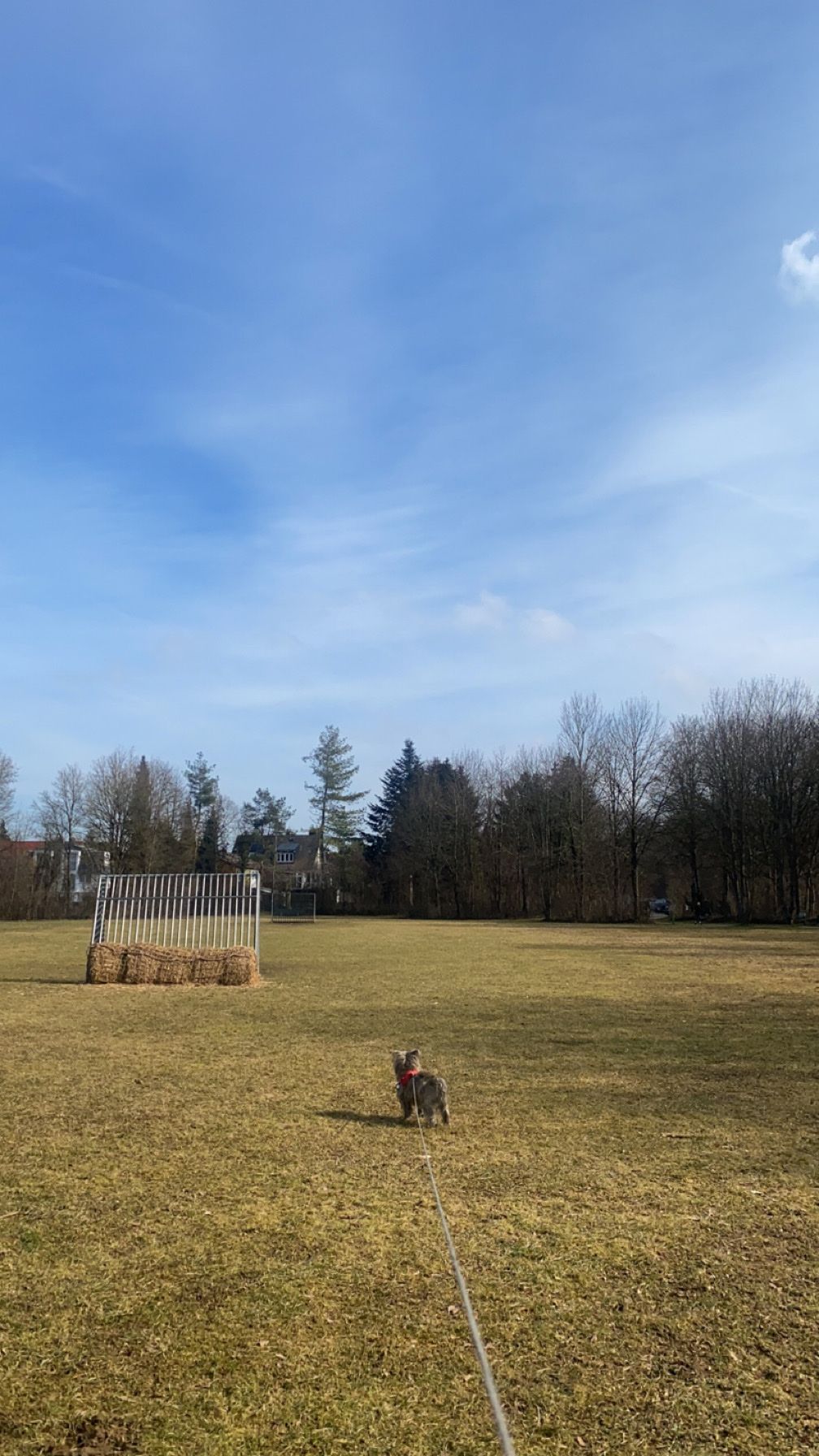 image-18