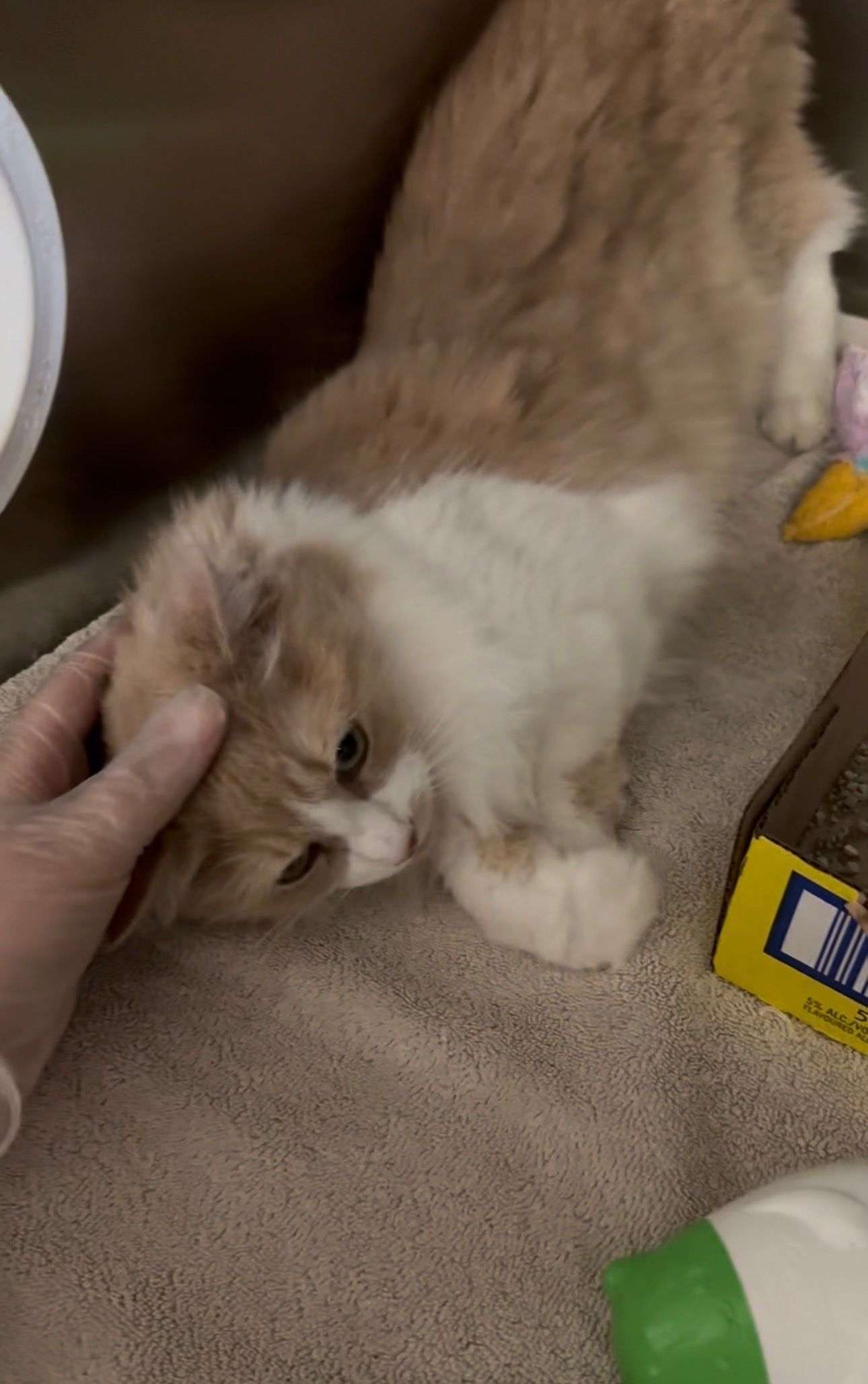 image-10