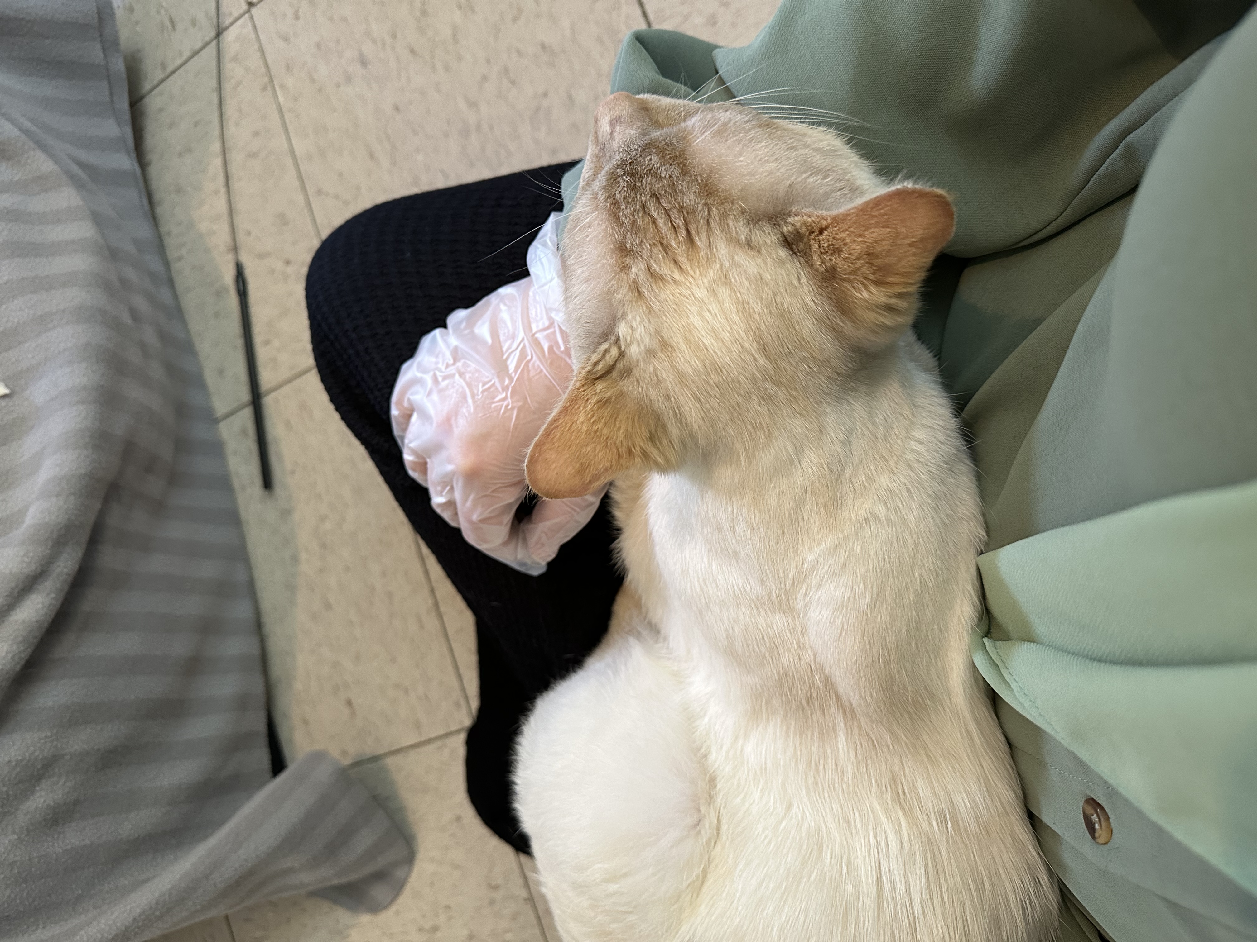 image-9