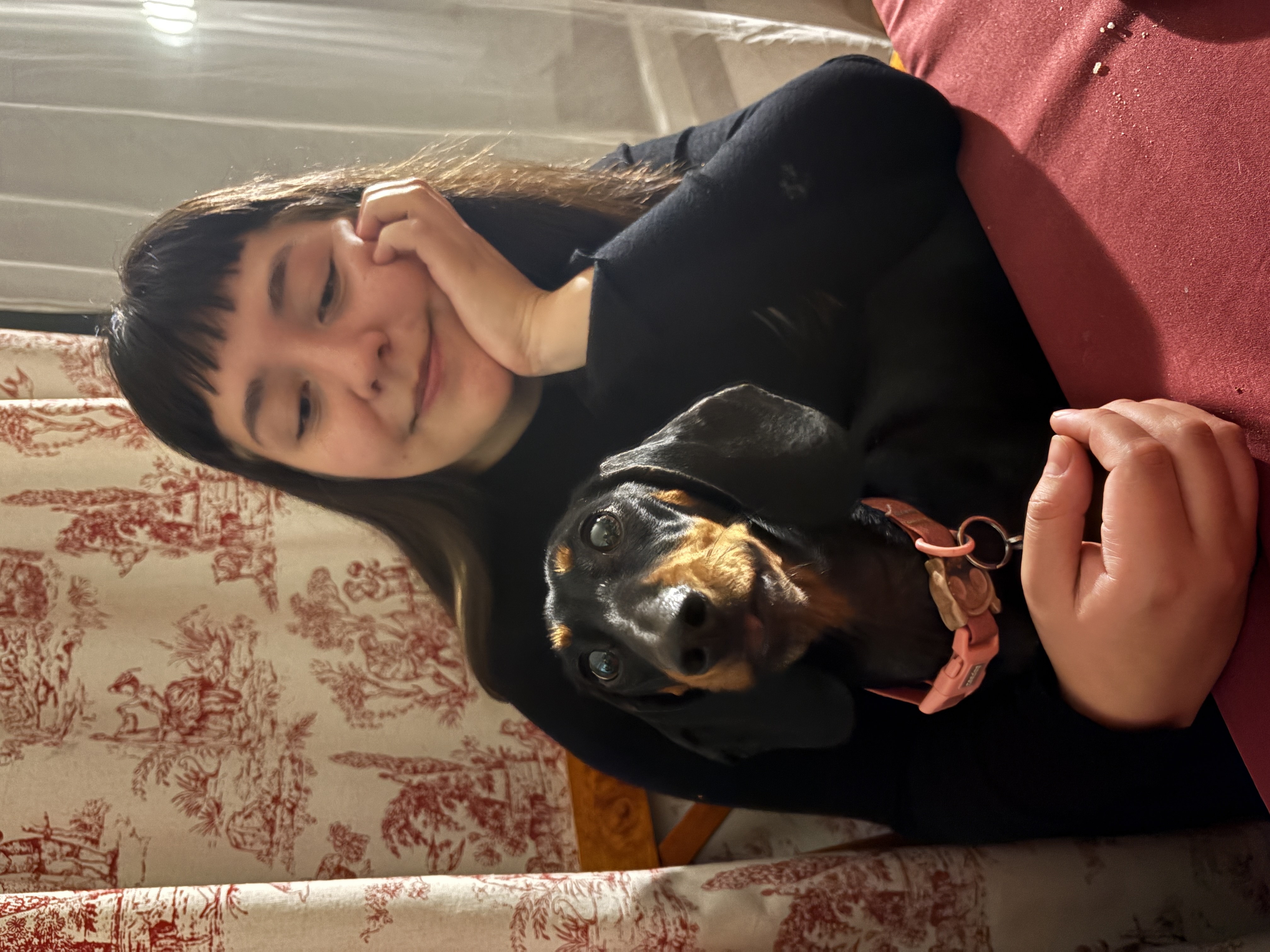 image-12