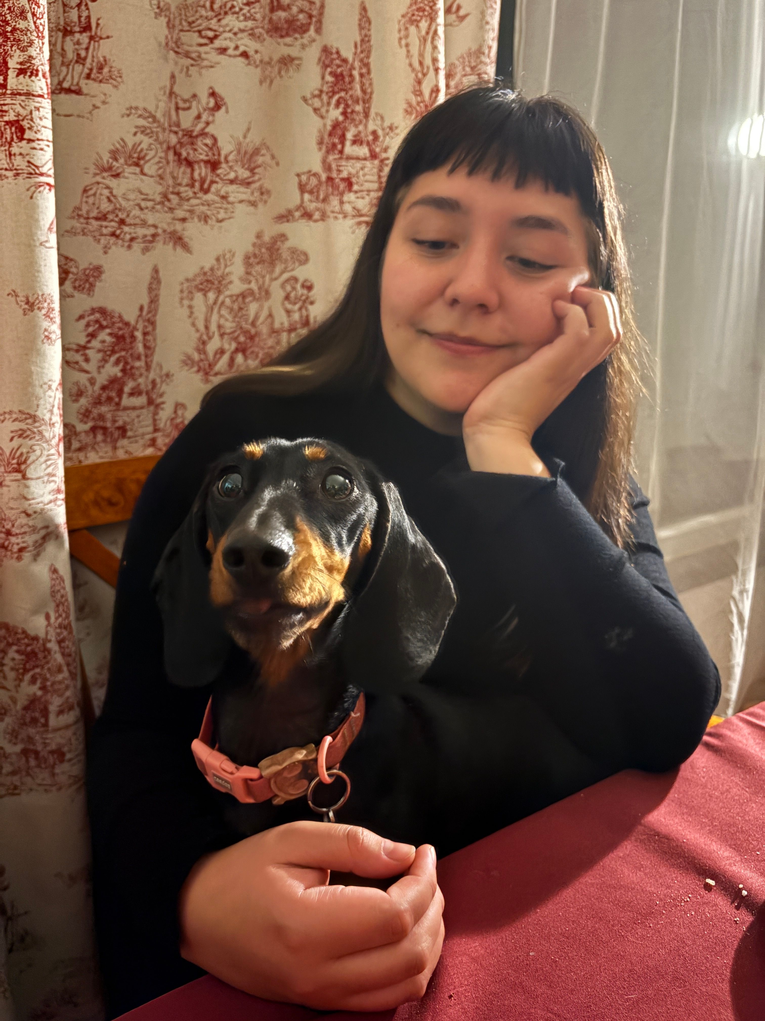 image-12