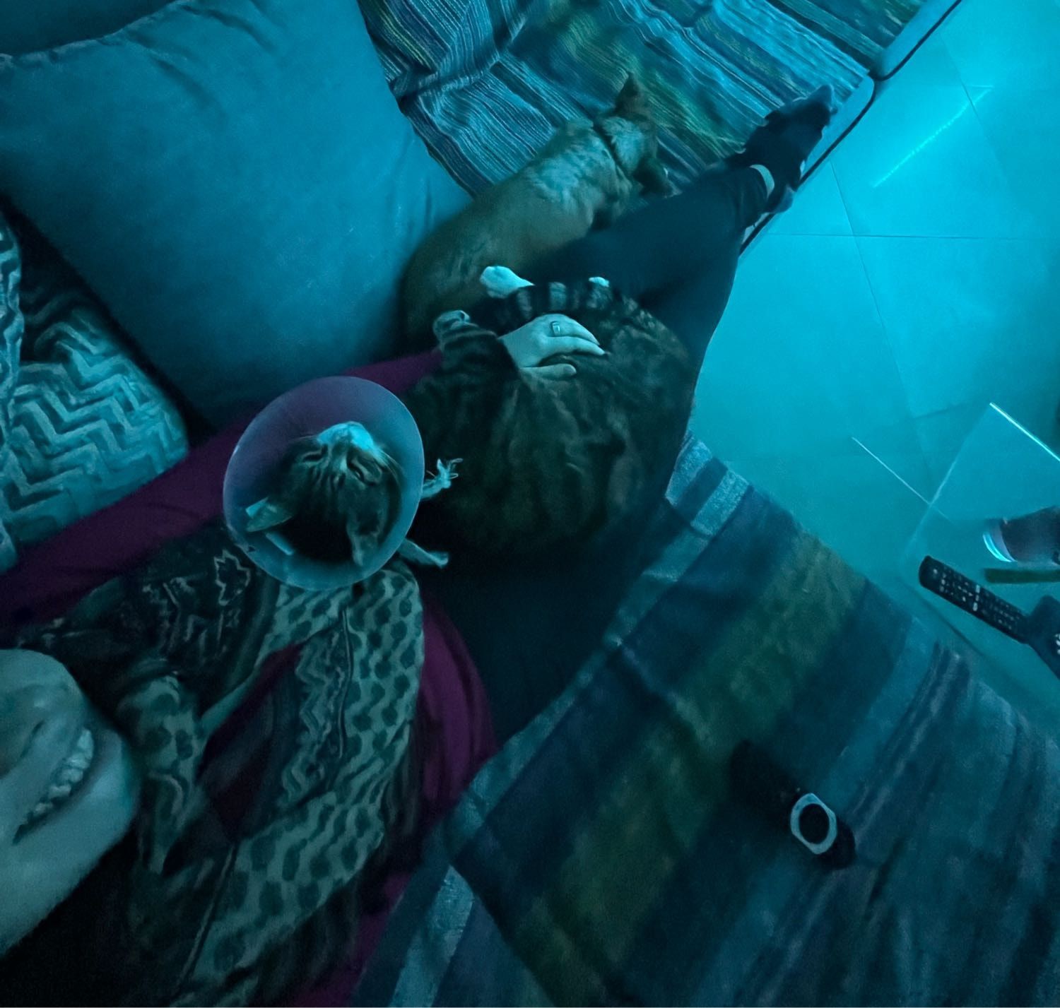 image-5