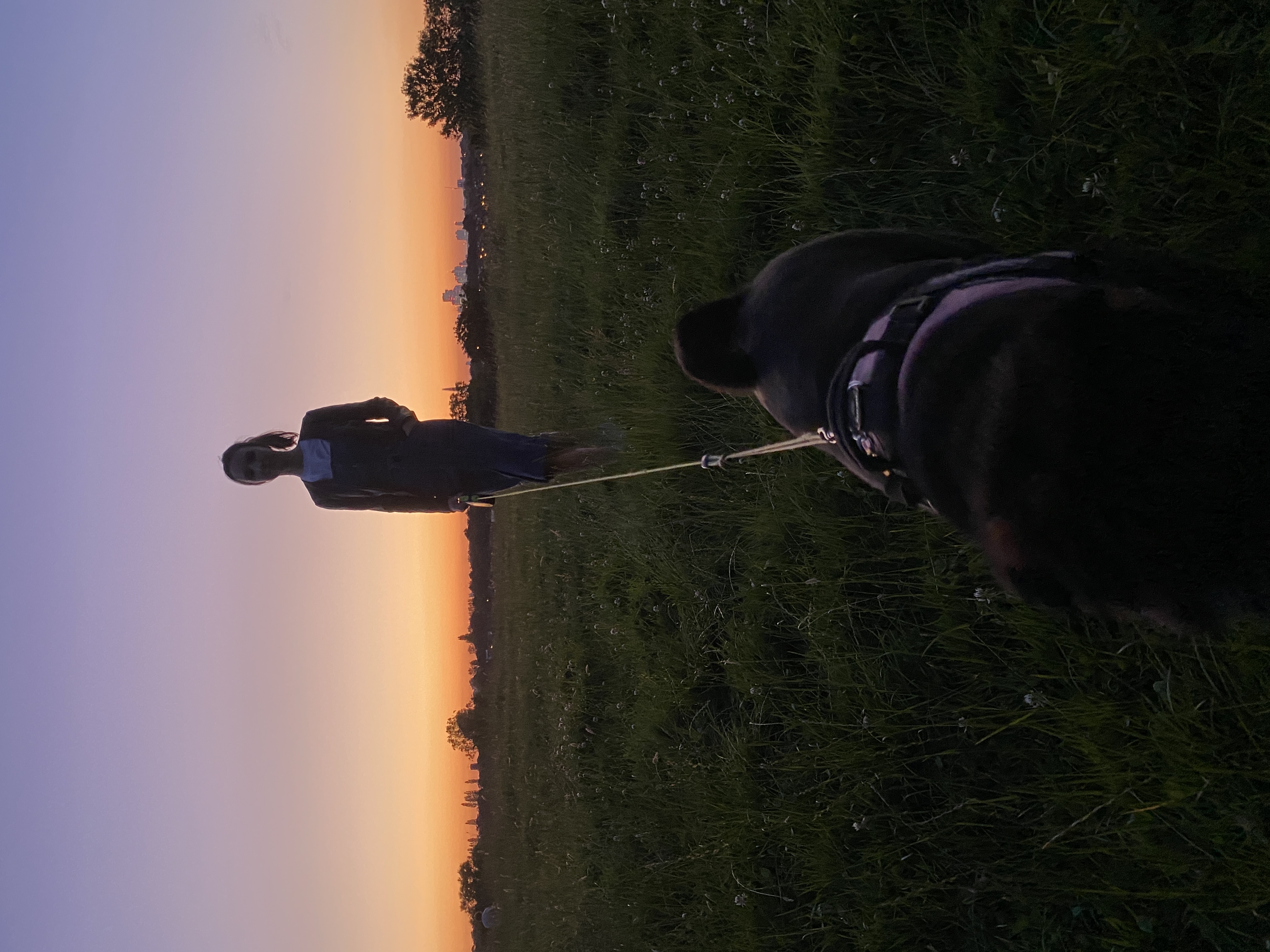 image-0