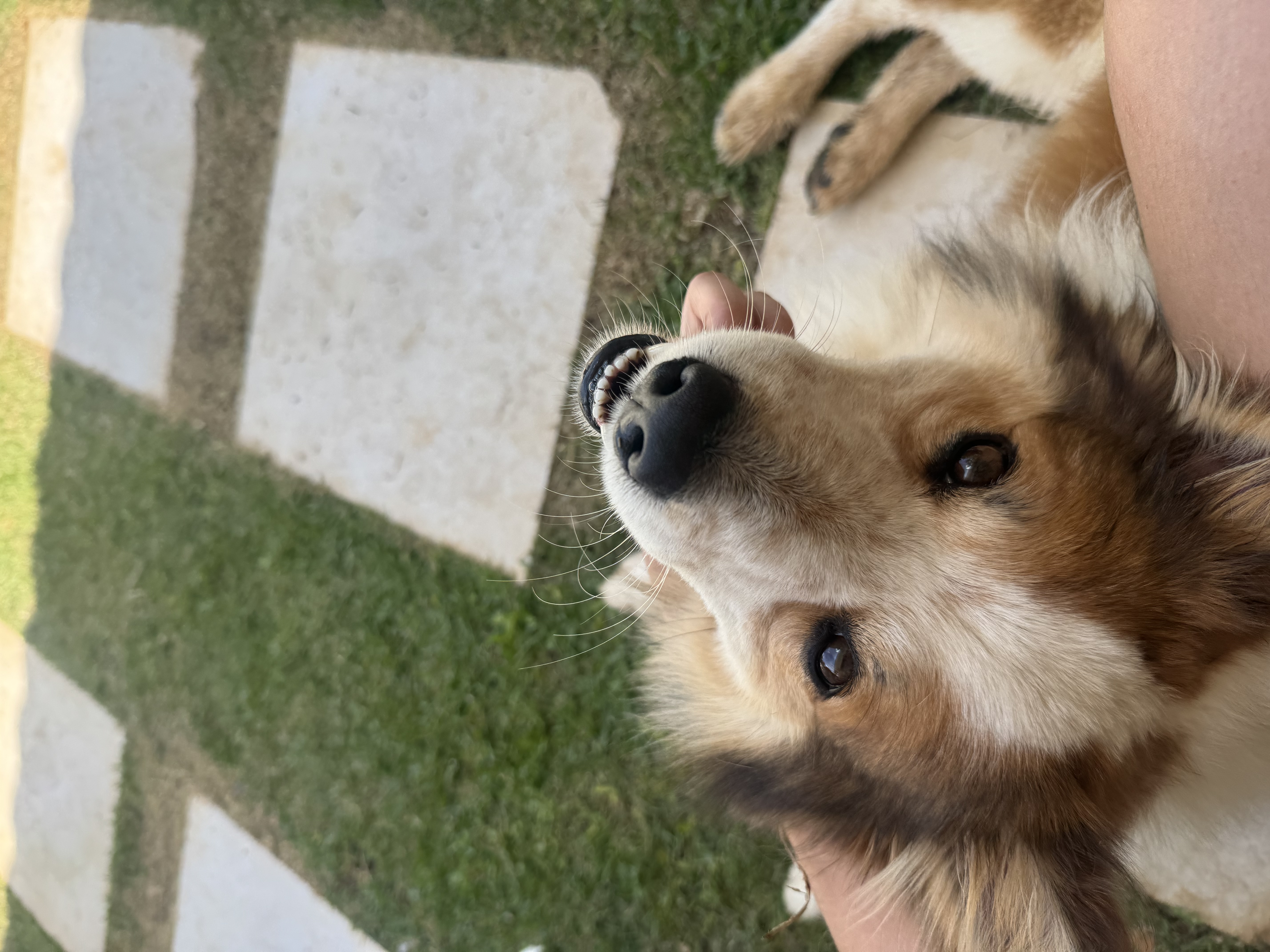 image-8