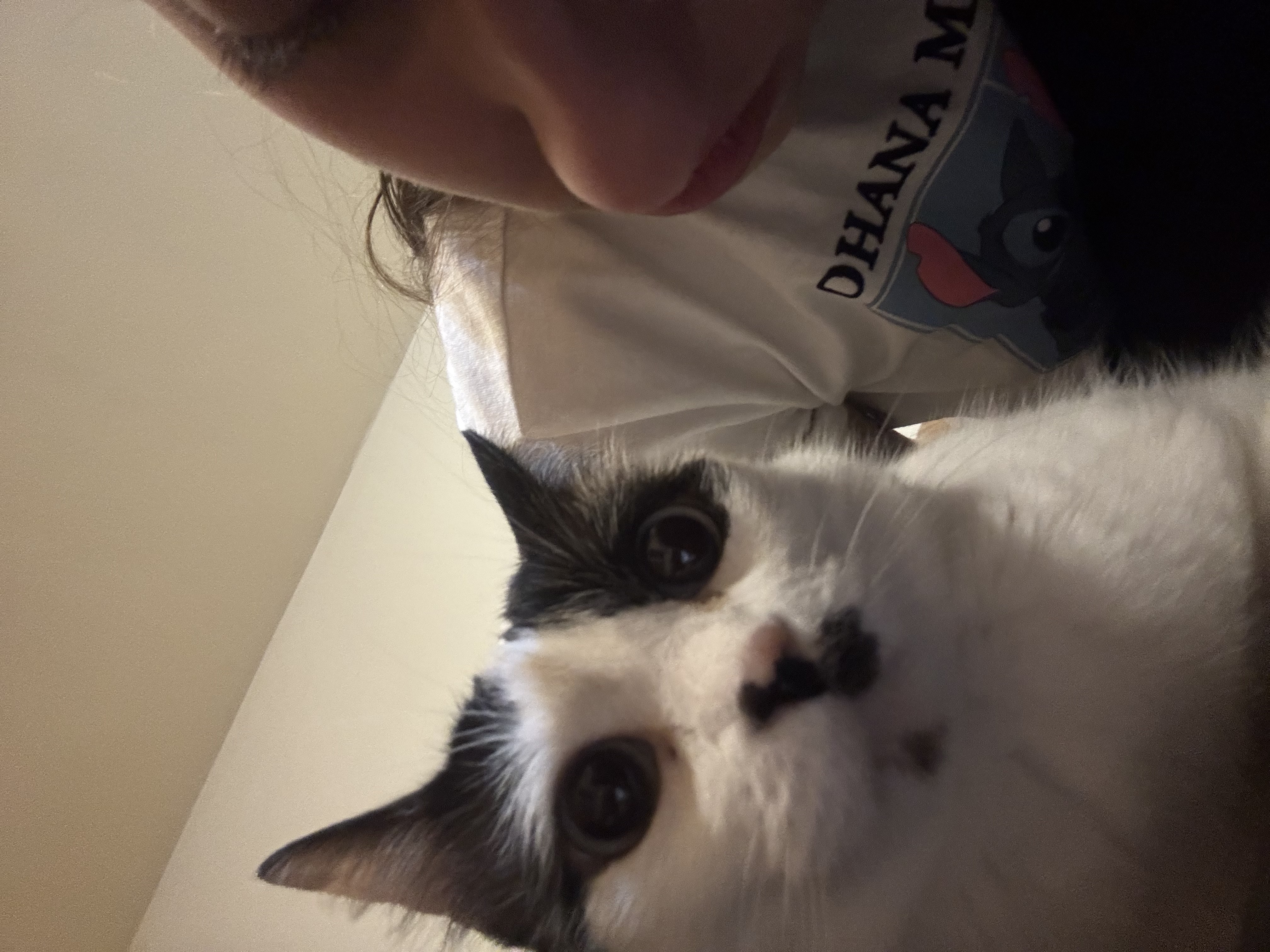 image-5