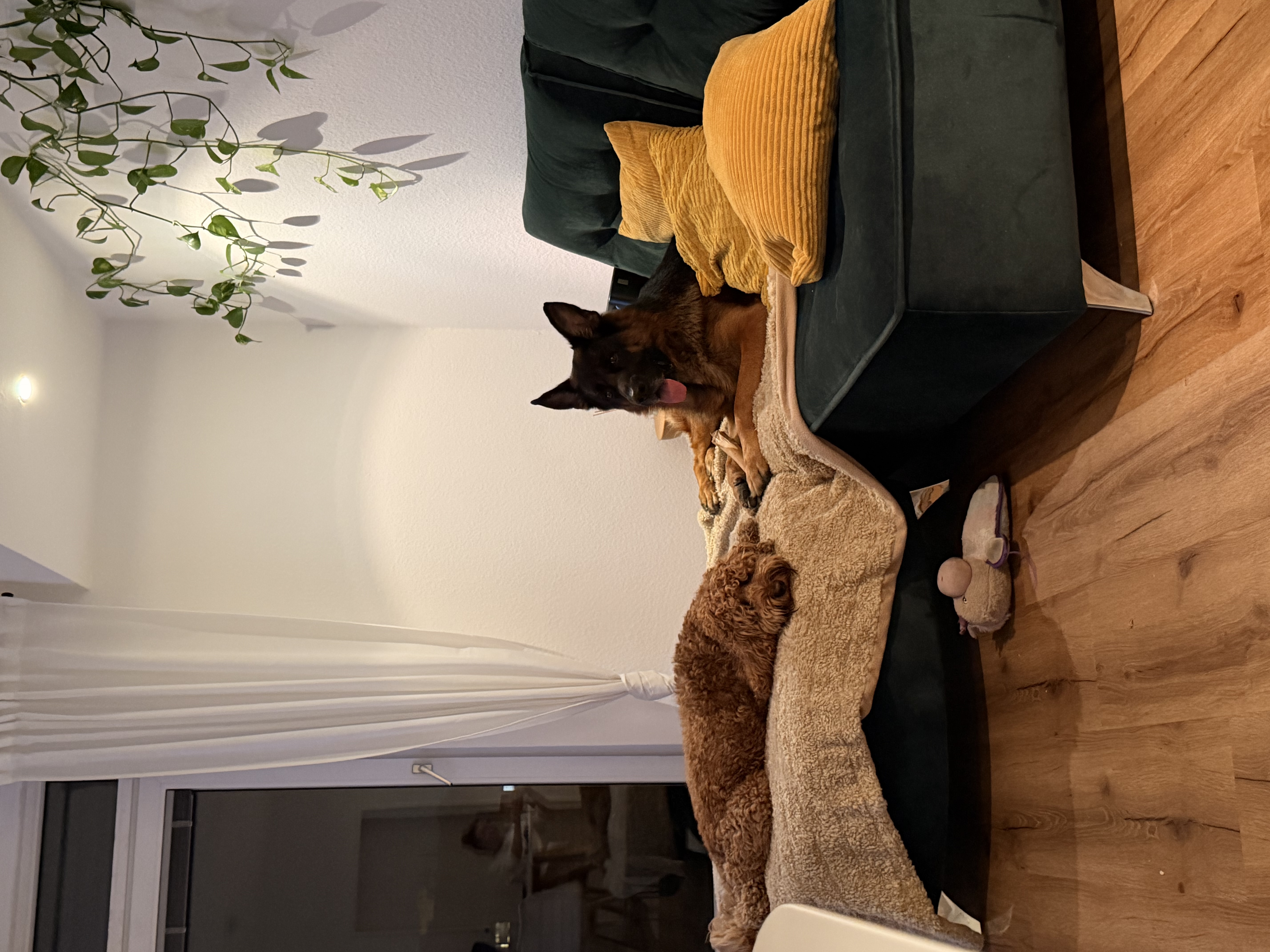 image-13