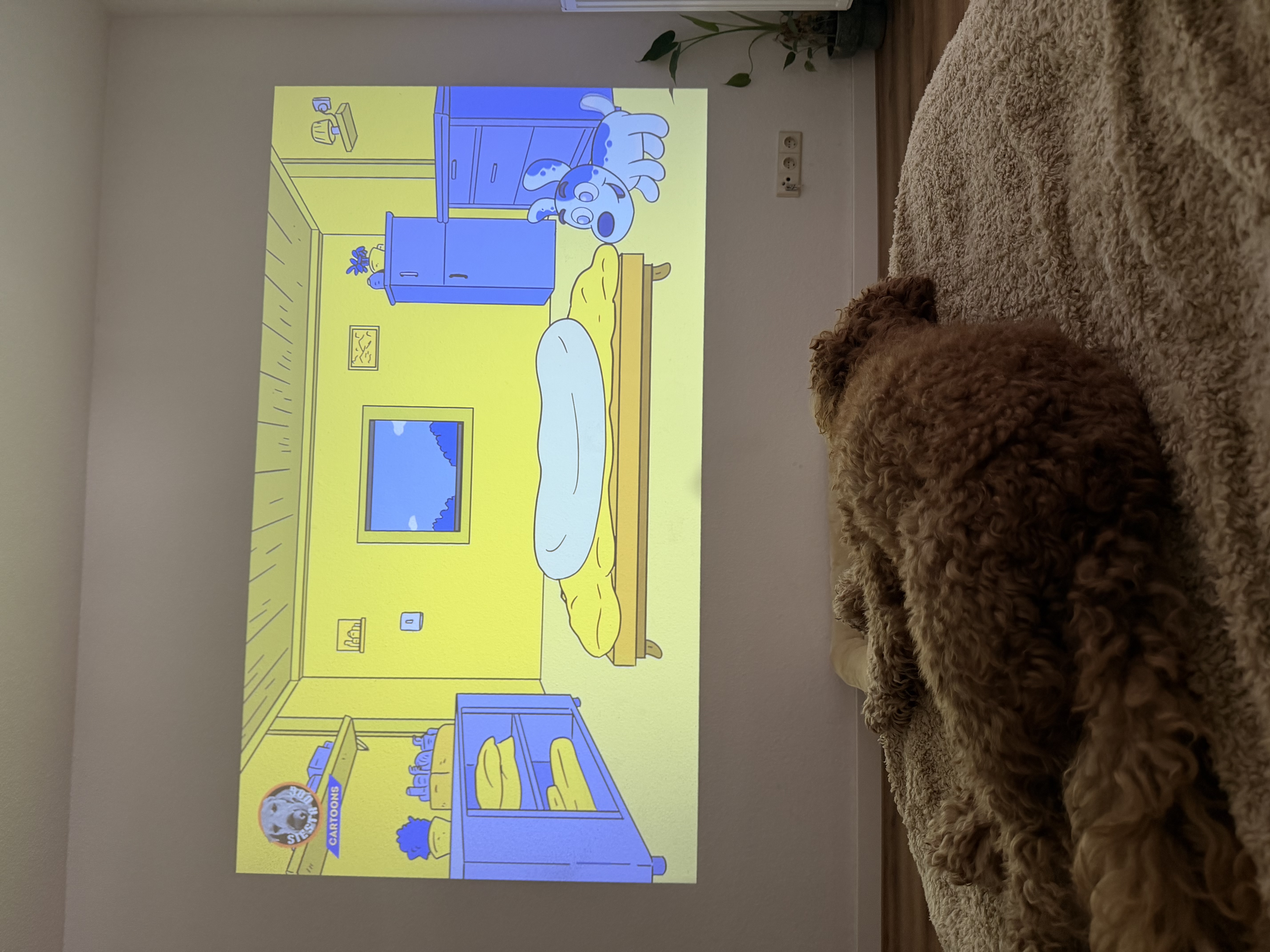 image-12