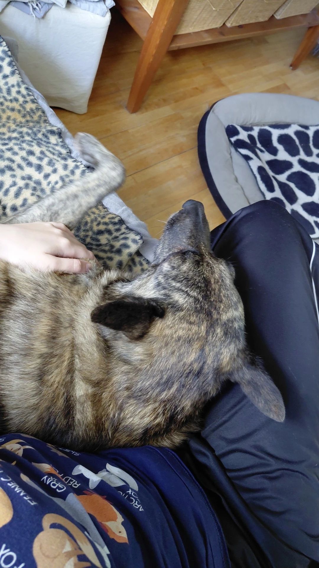 image-6