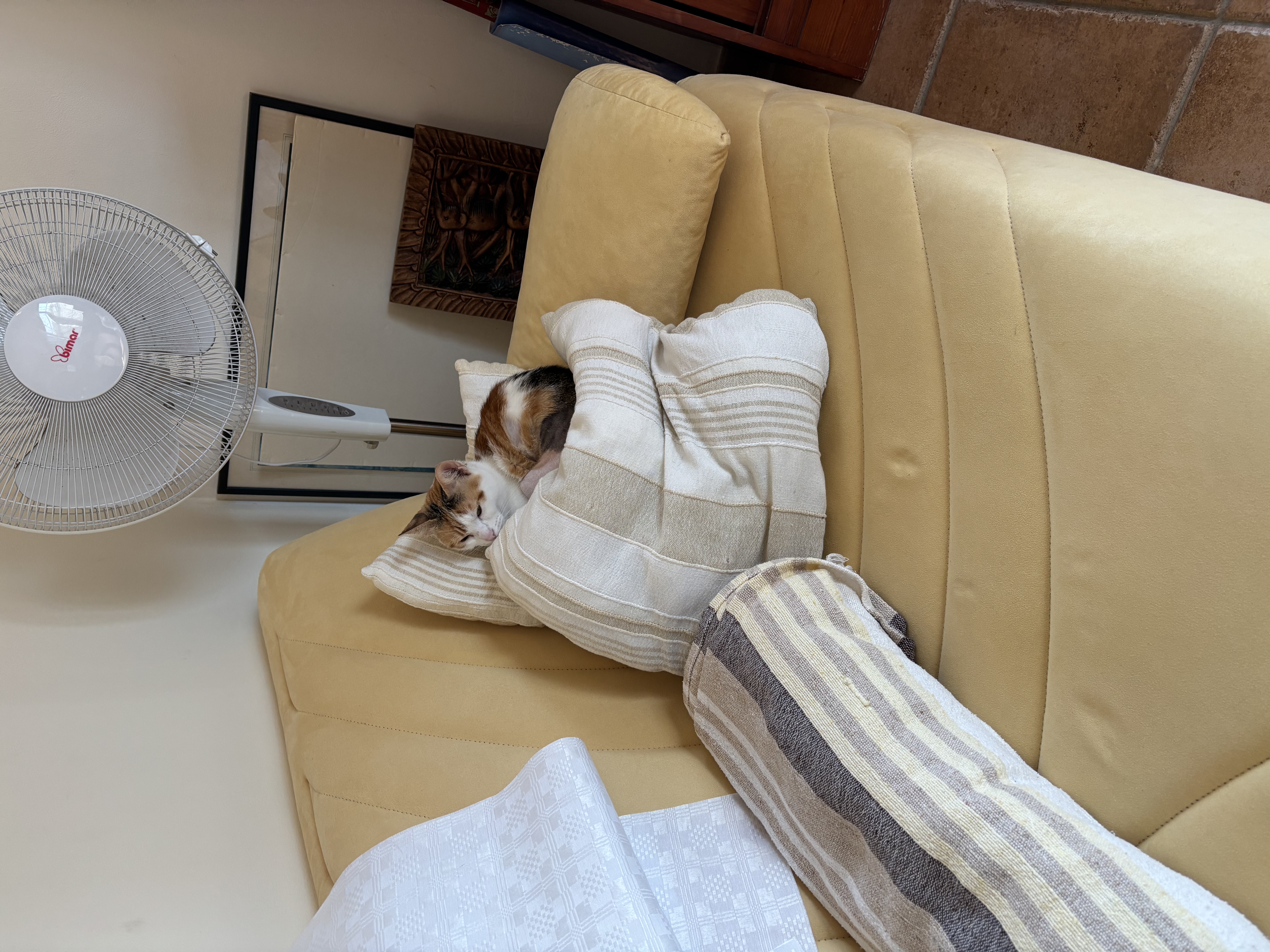 image-8