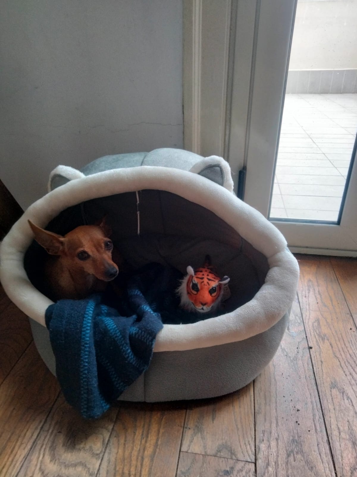 image-4