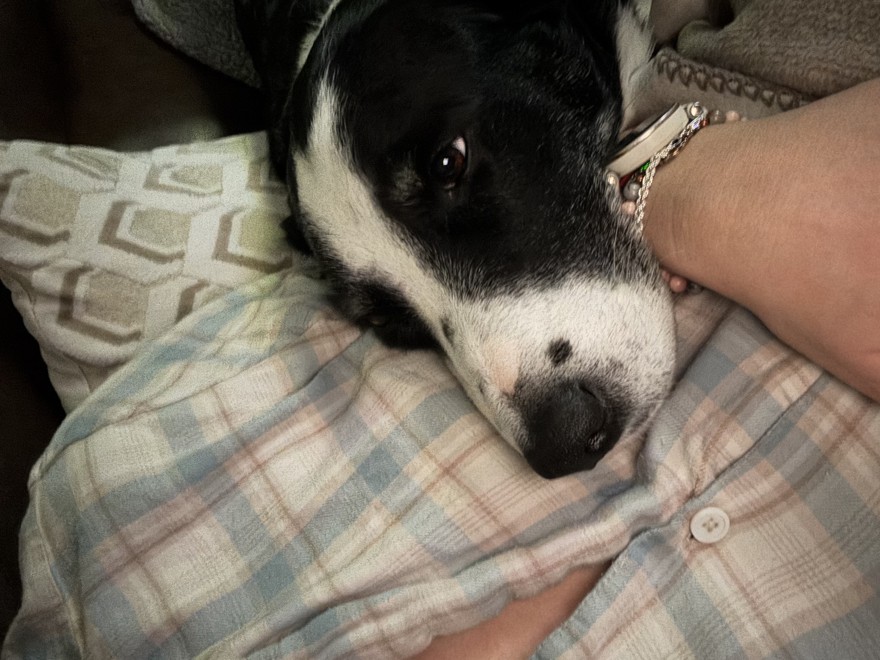image-6