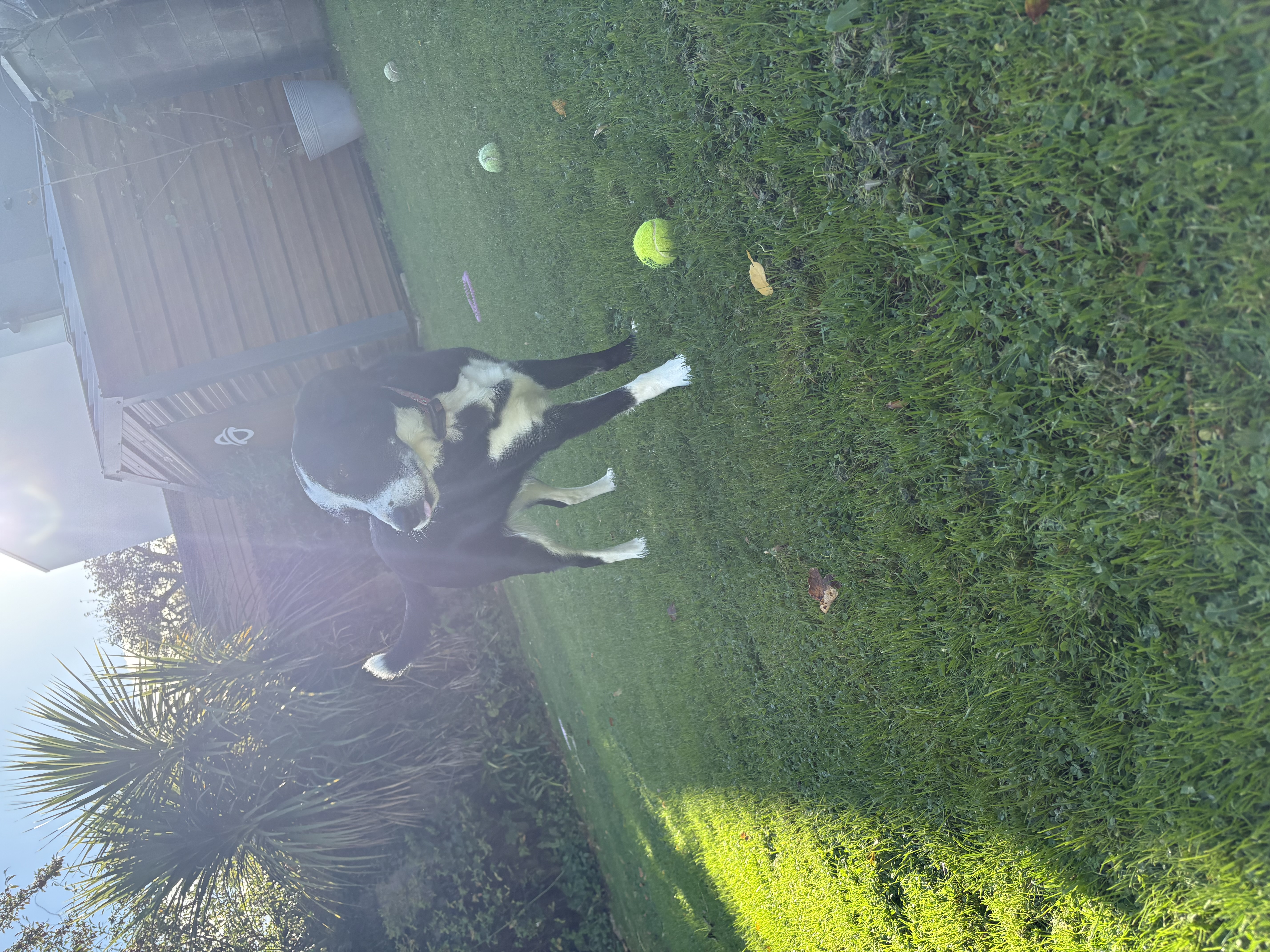 image-37