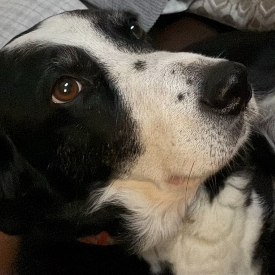Milly