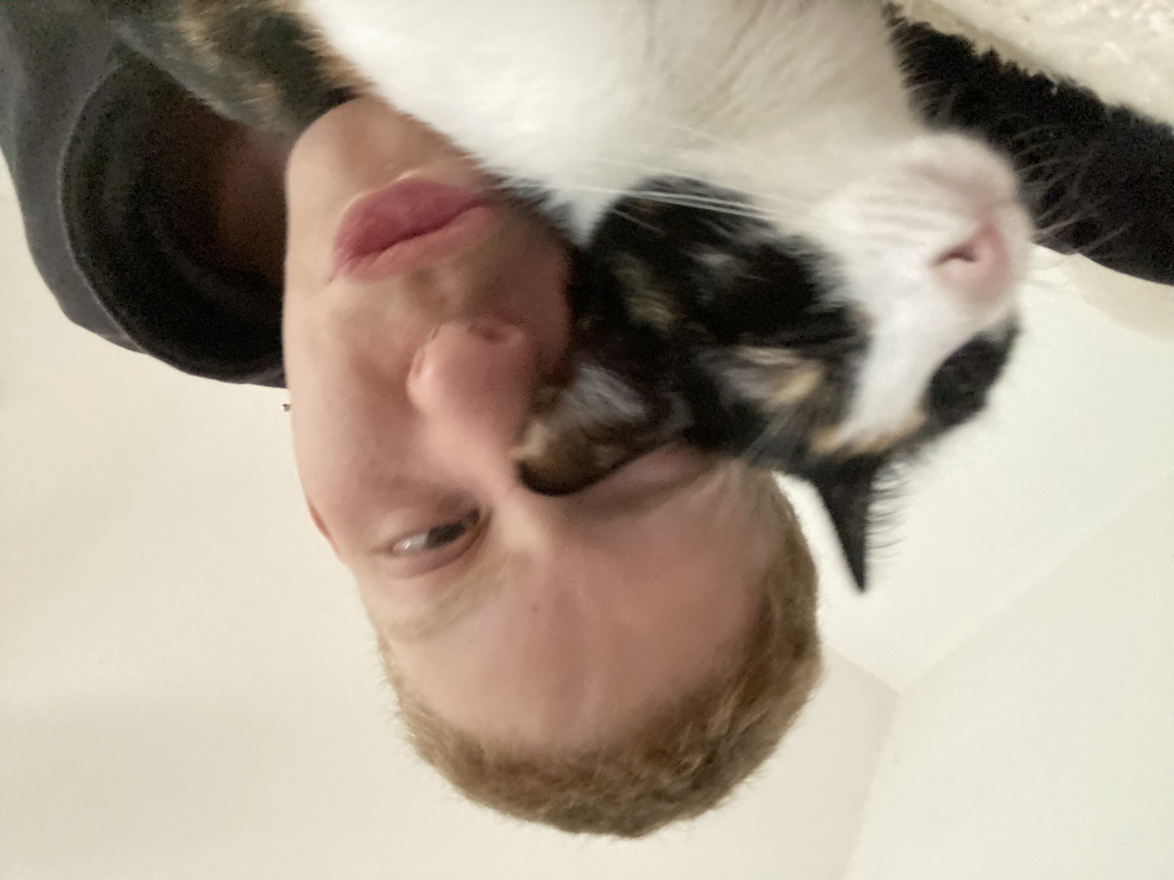 image-6