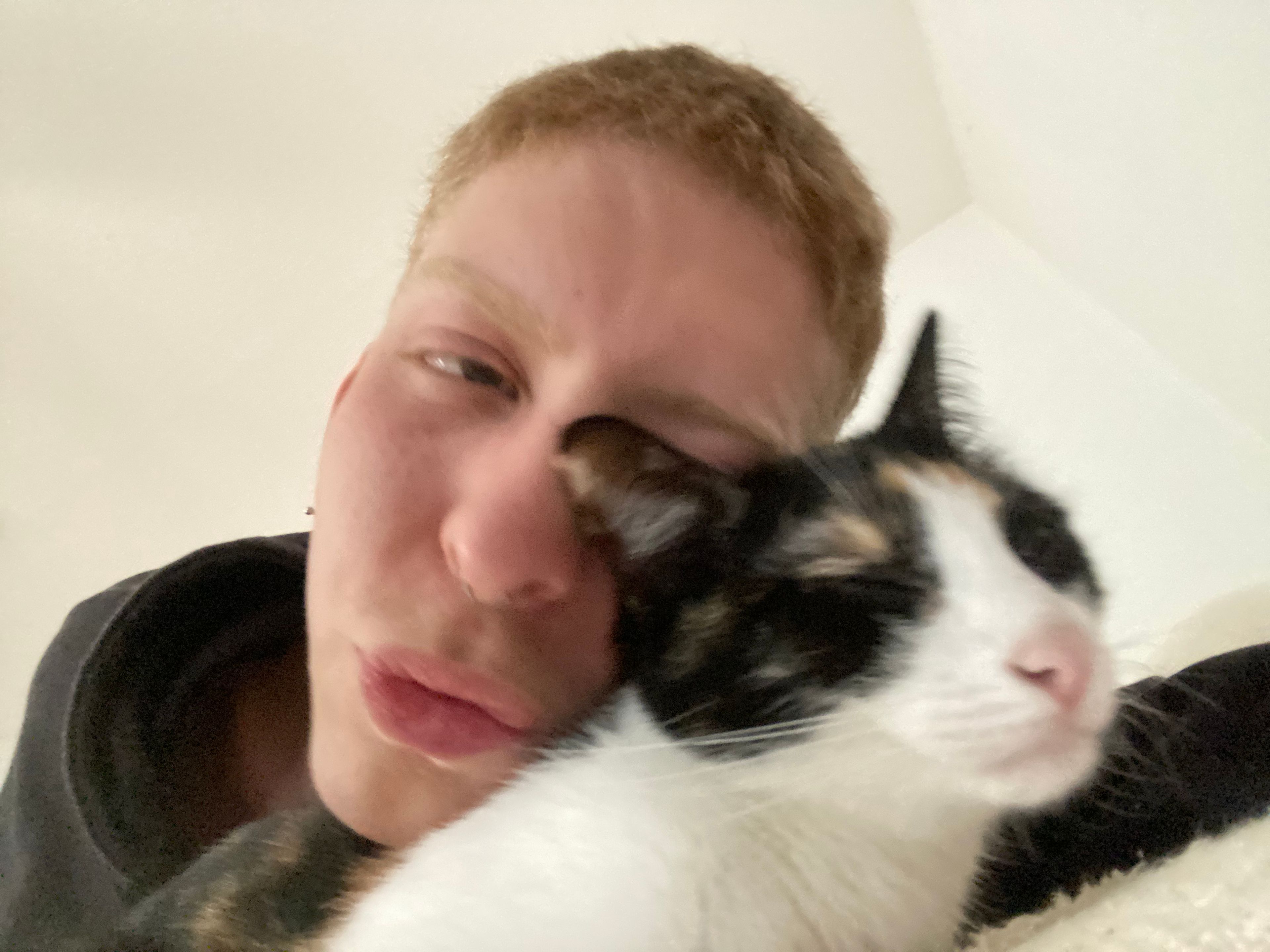 image-6
