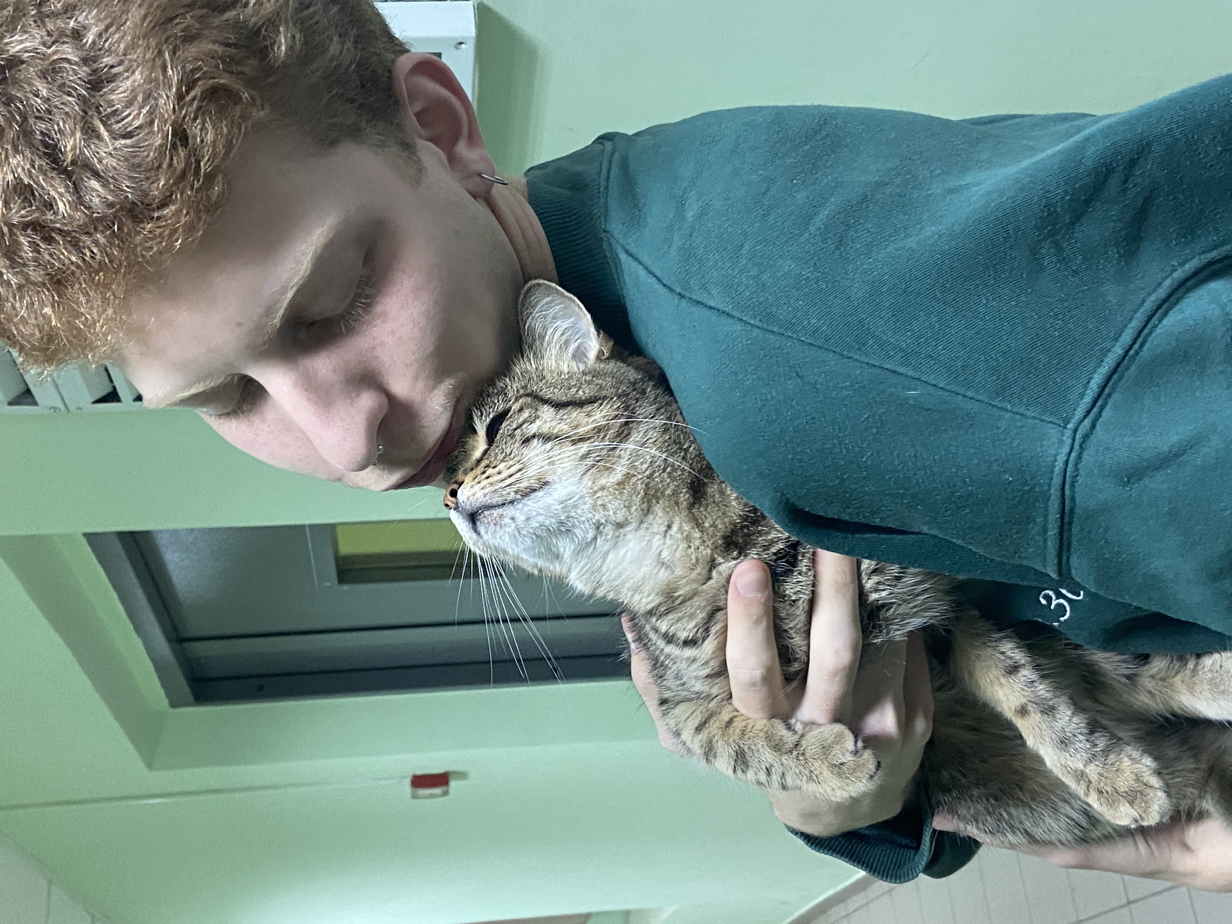 image-8