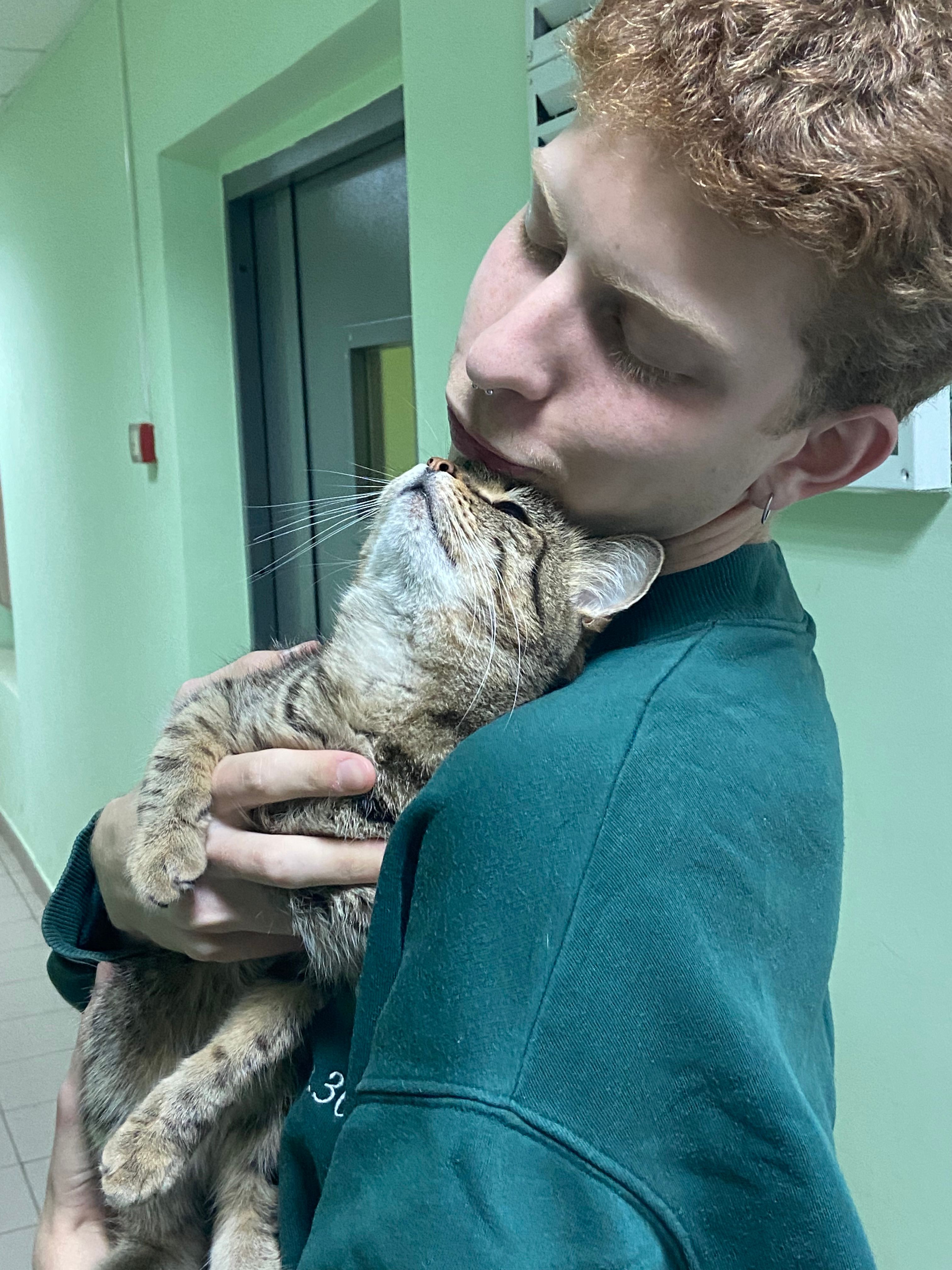 image-8