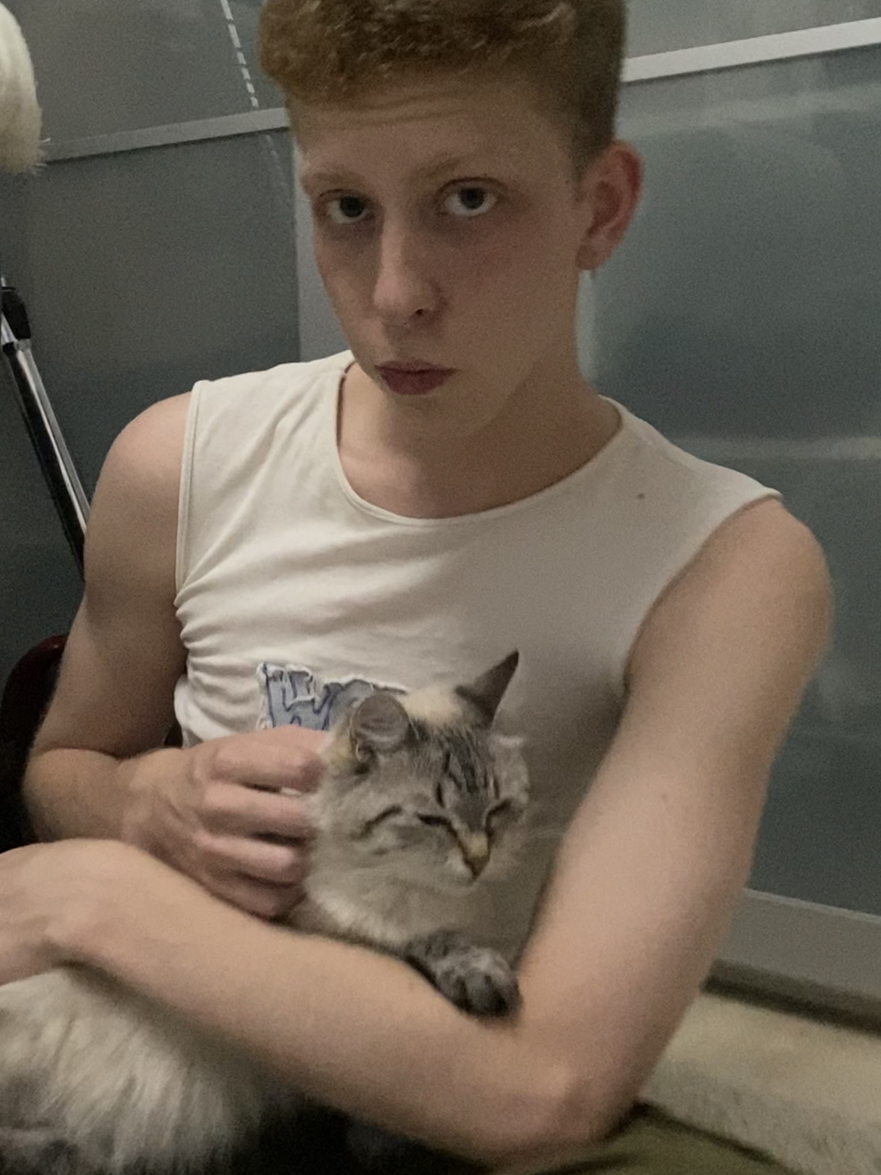 image-9