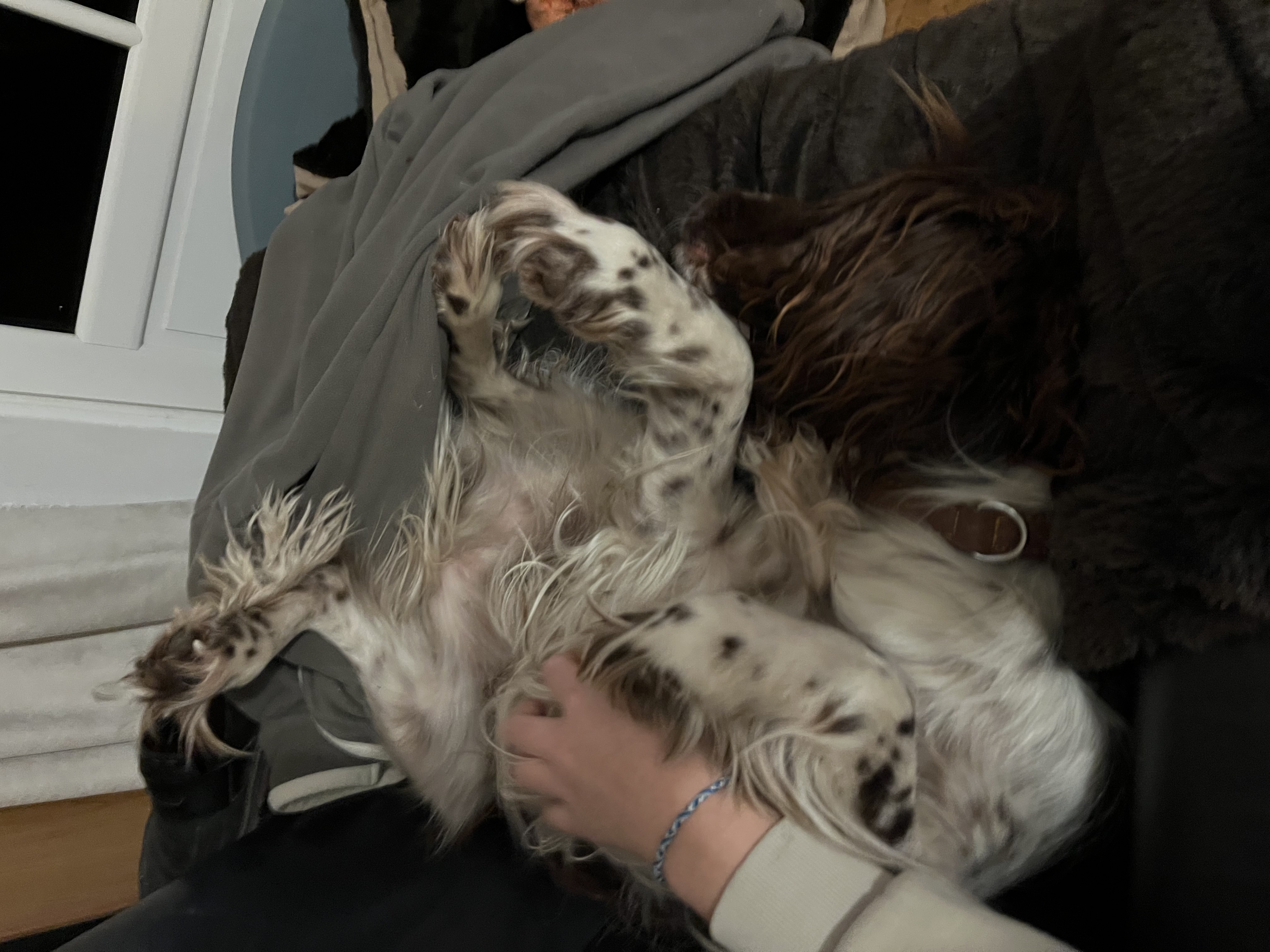 image-7