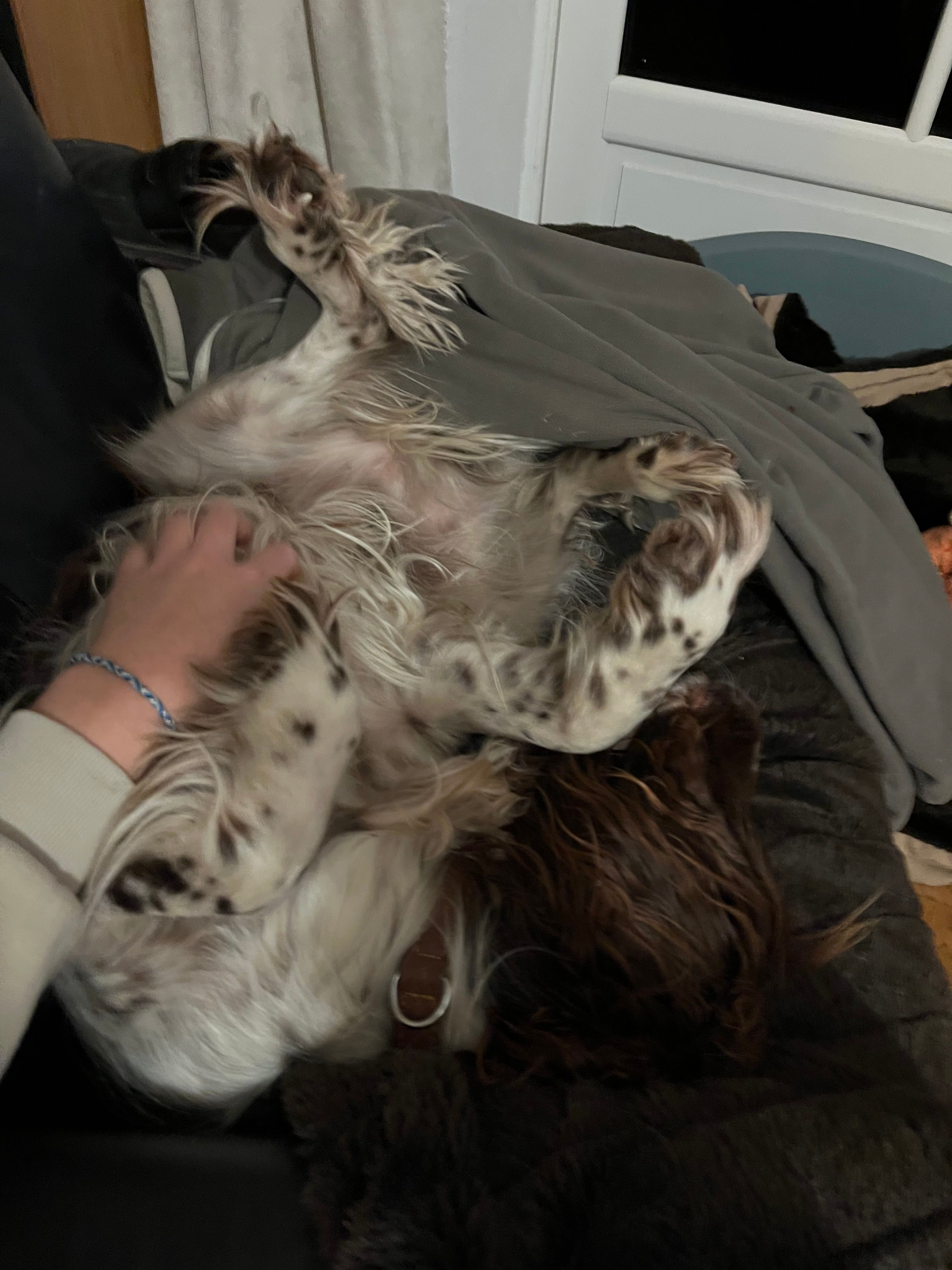 image-7