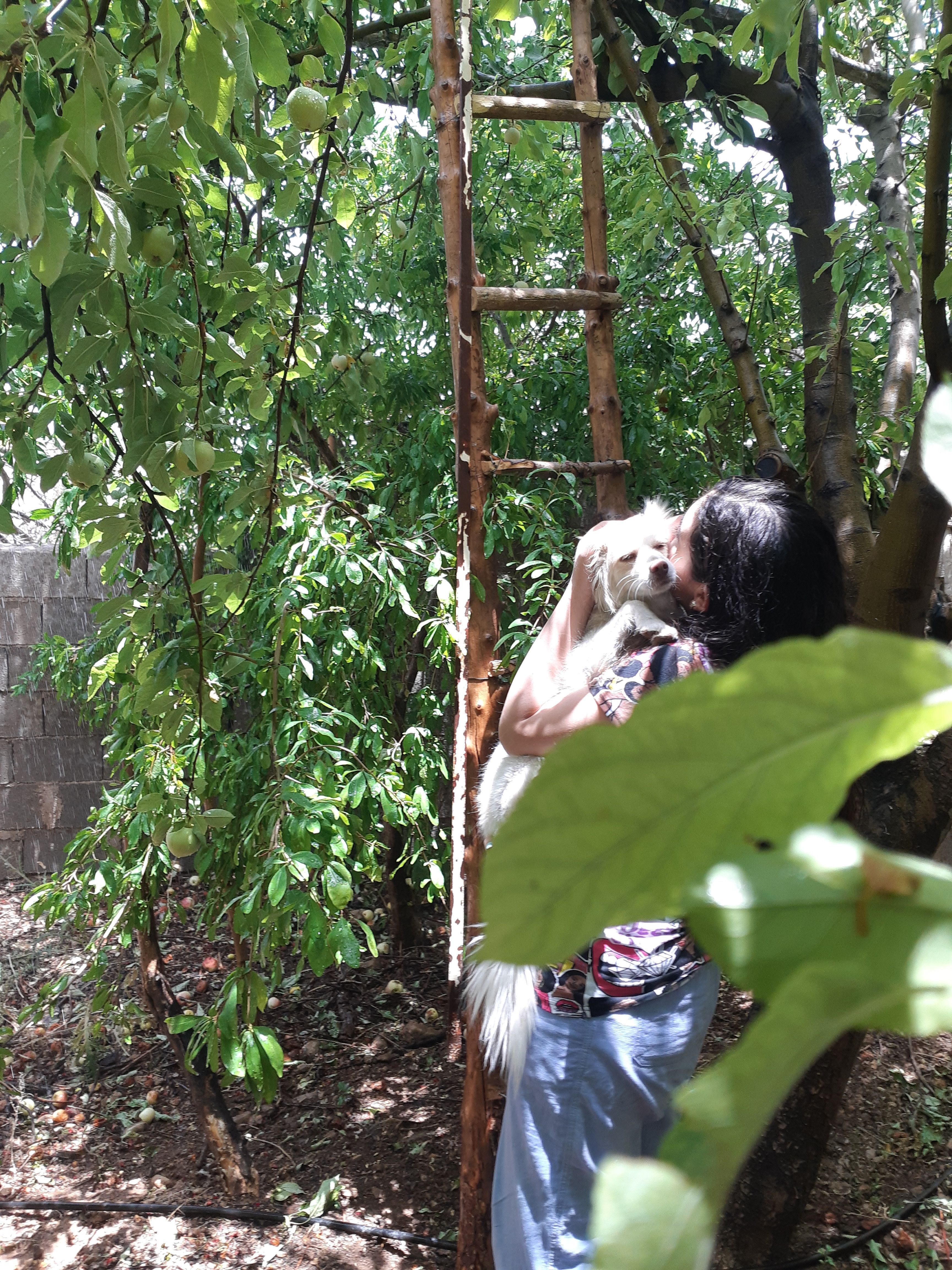 image-4