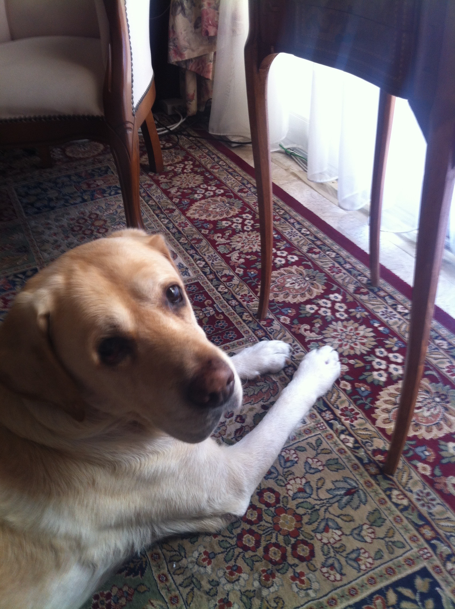 image-8