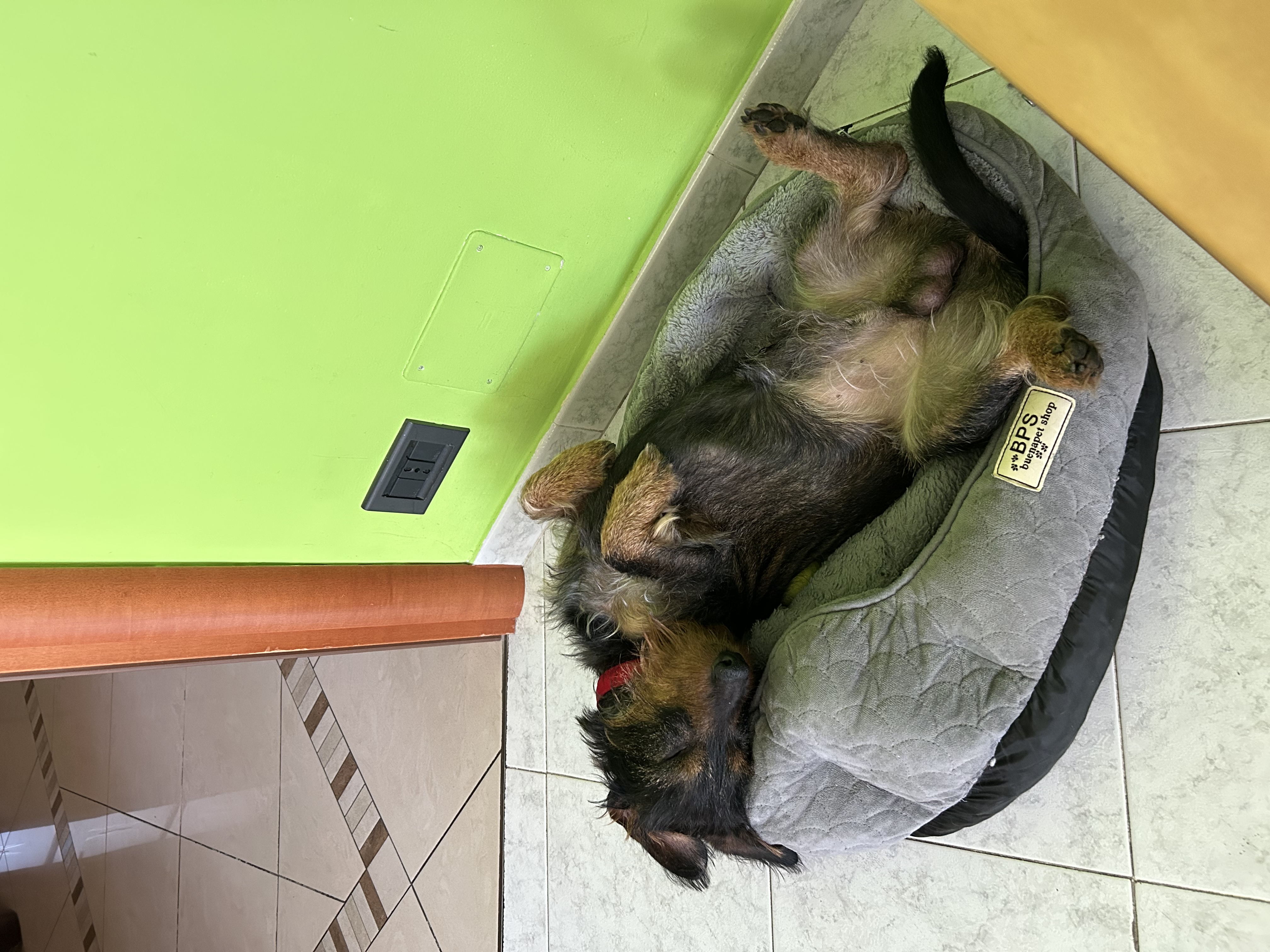 image-9