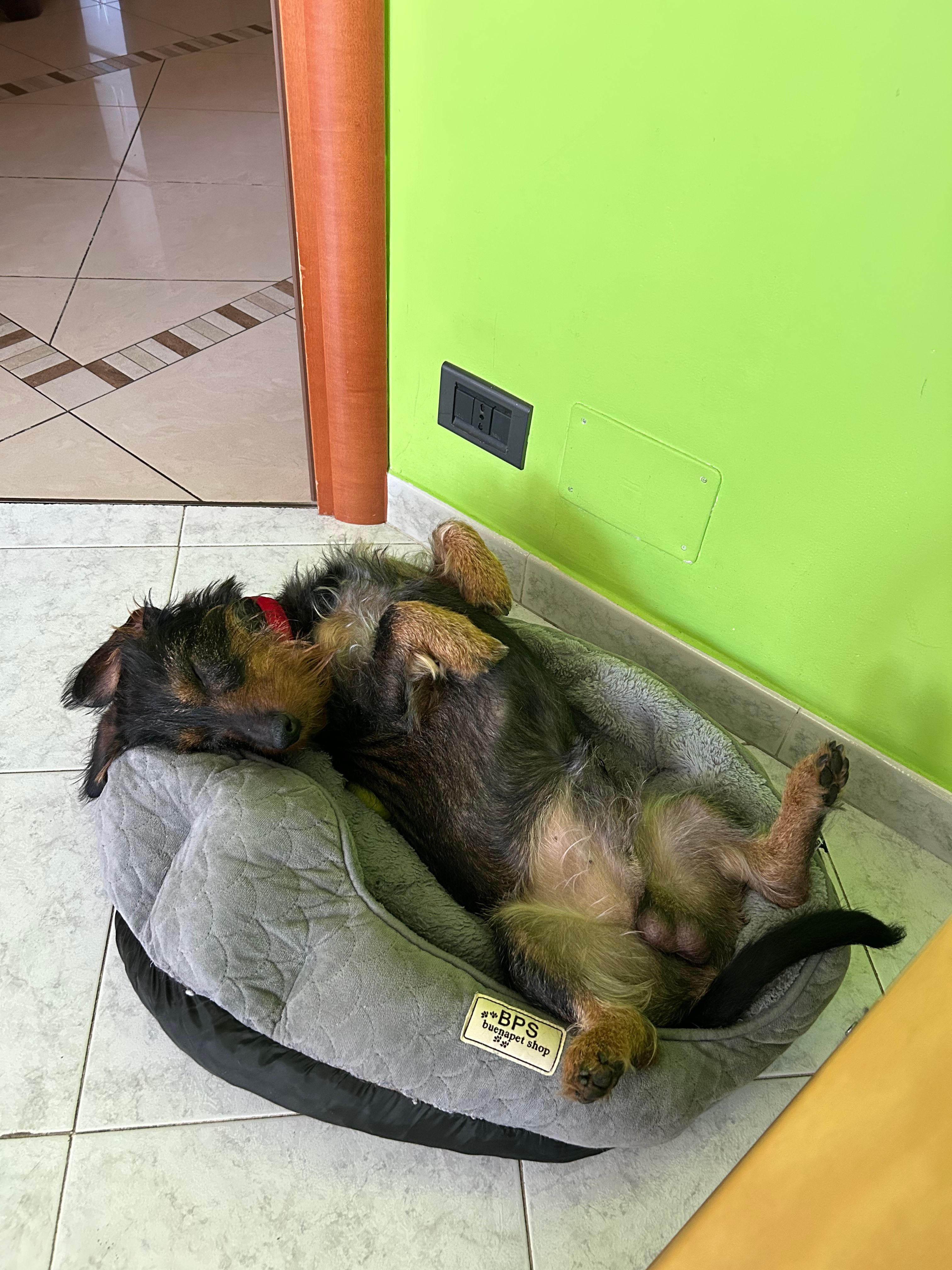 image-9