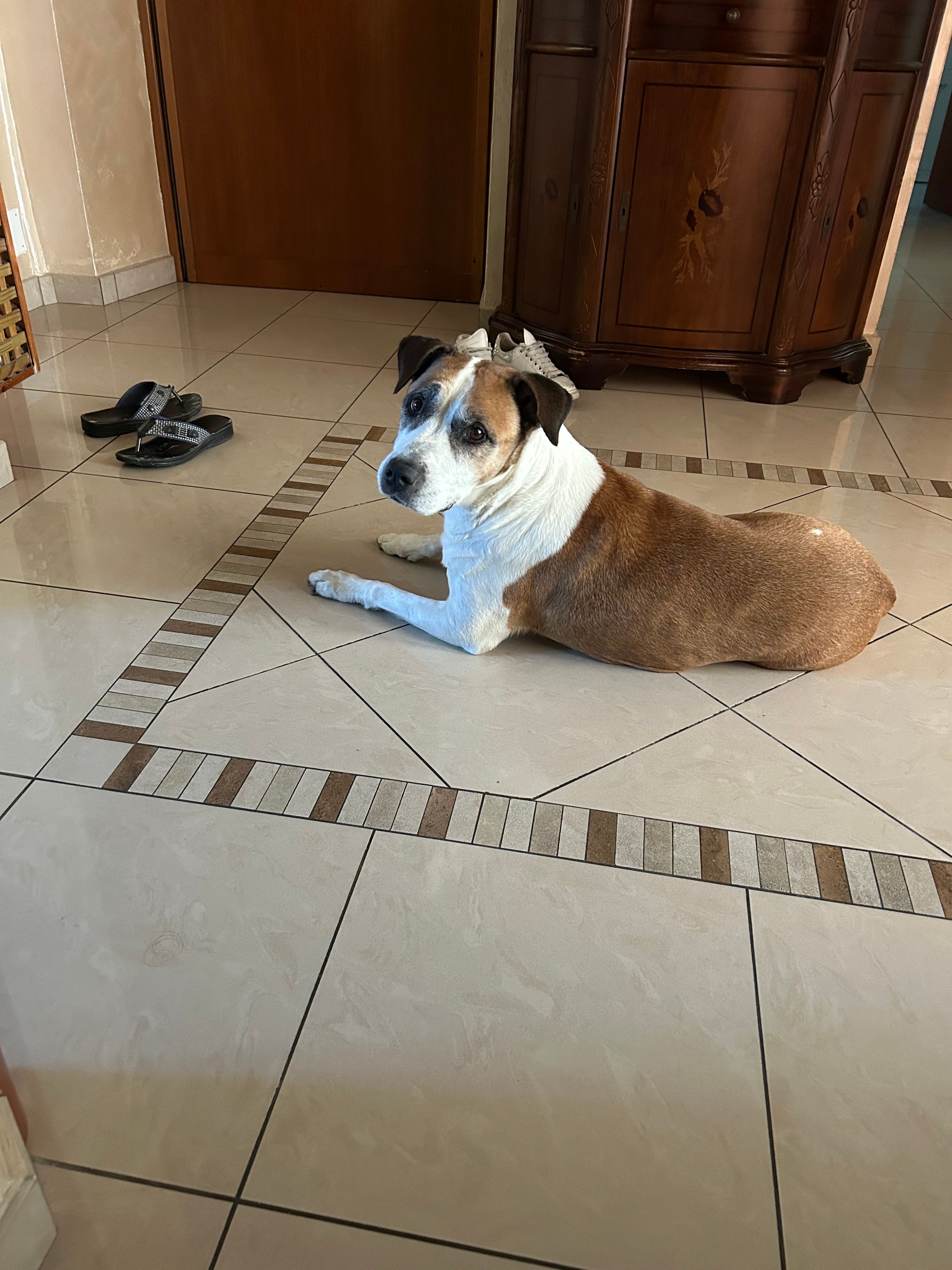 image-13