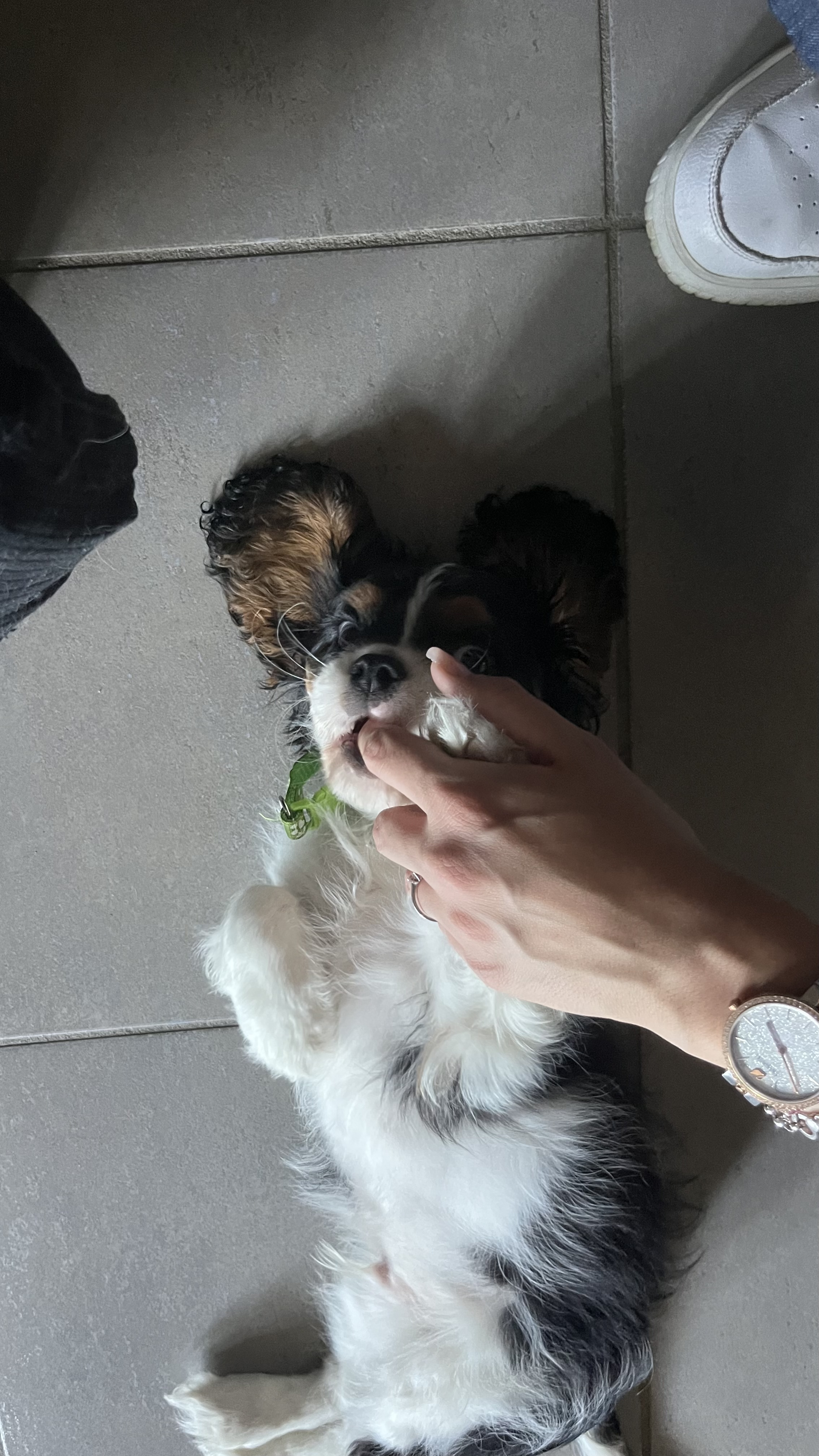 image-8