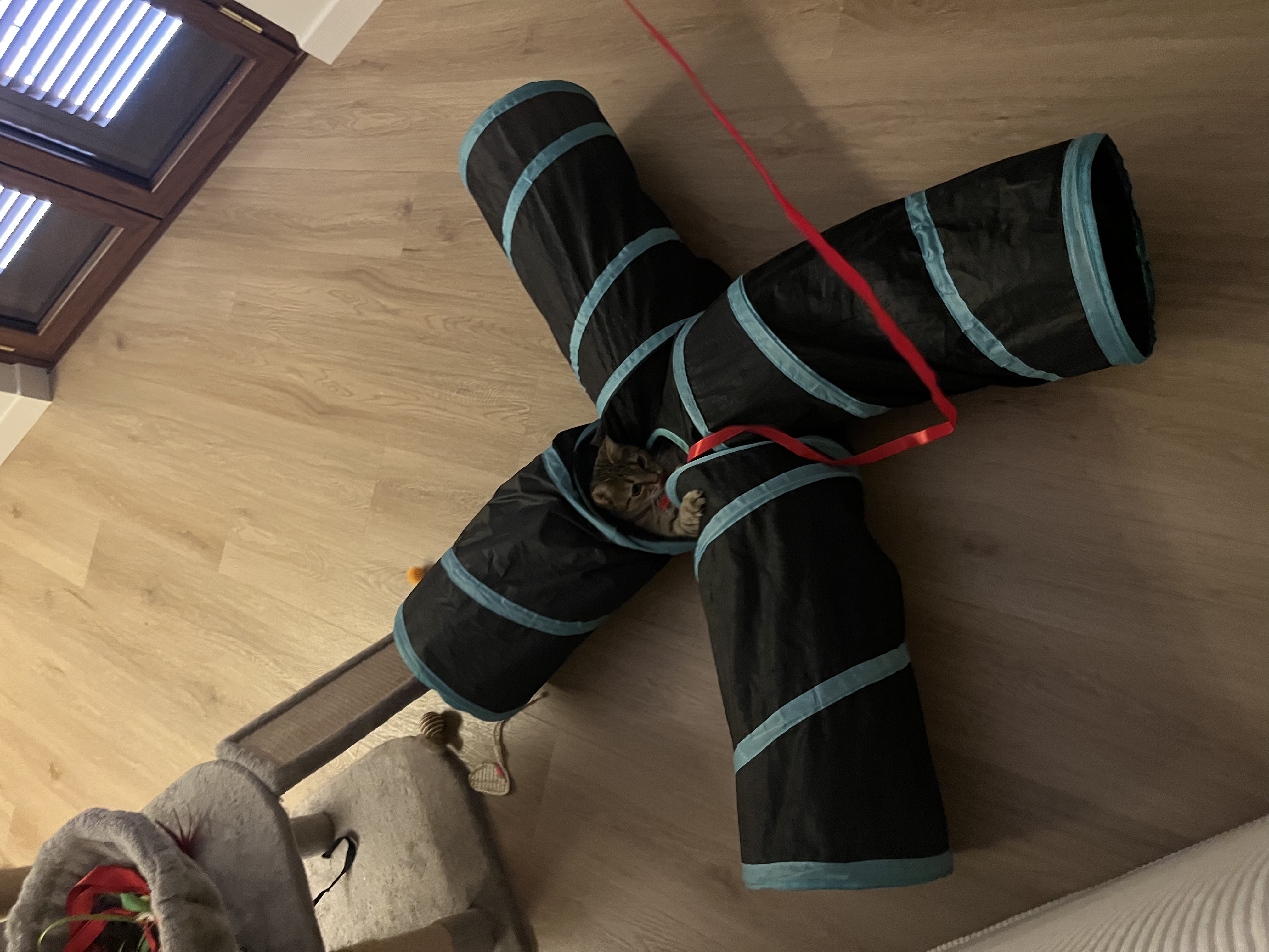 image-15