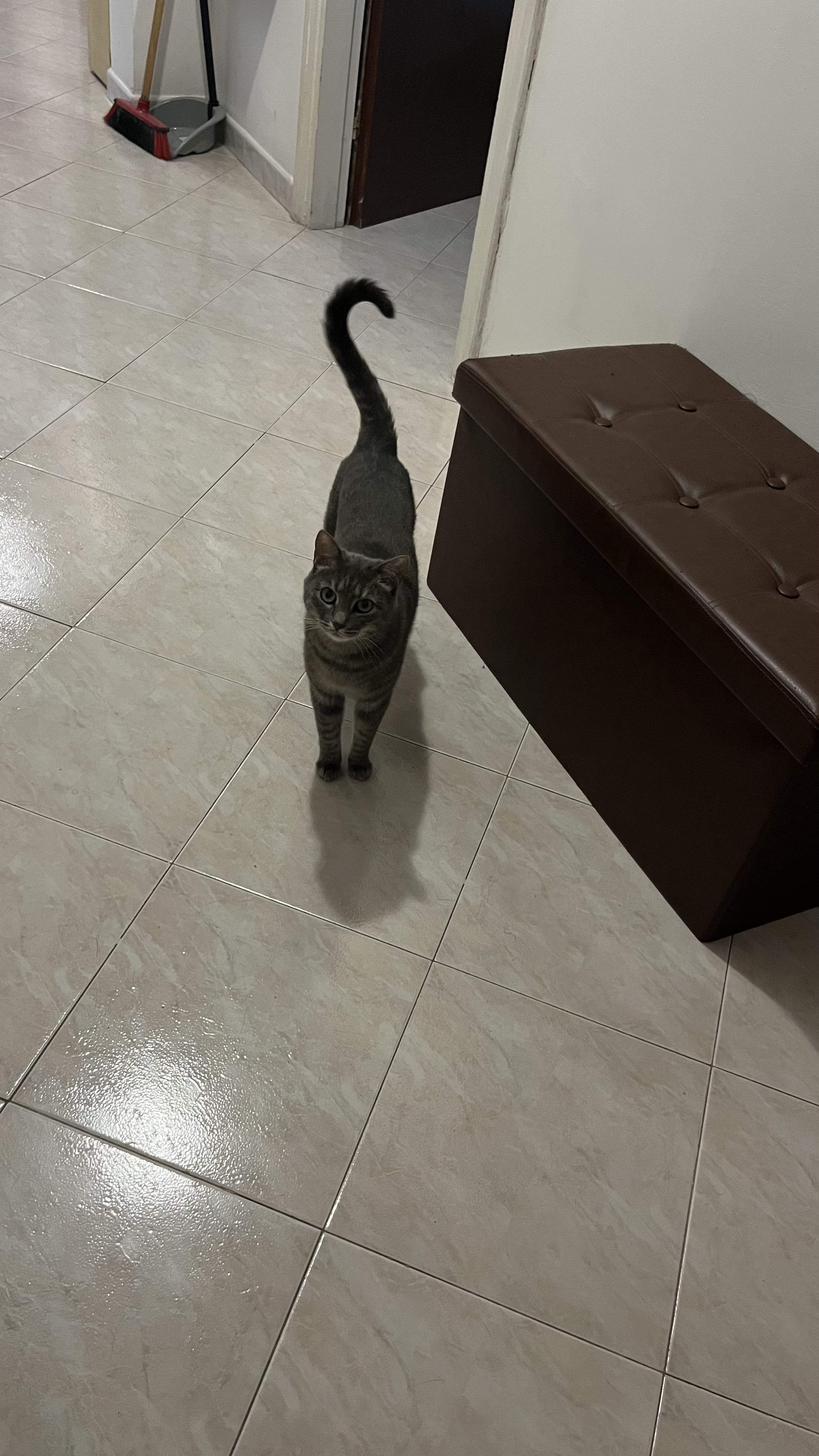 image-16