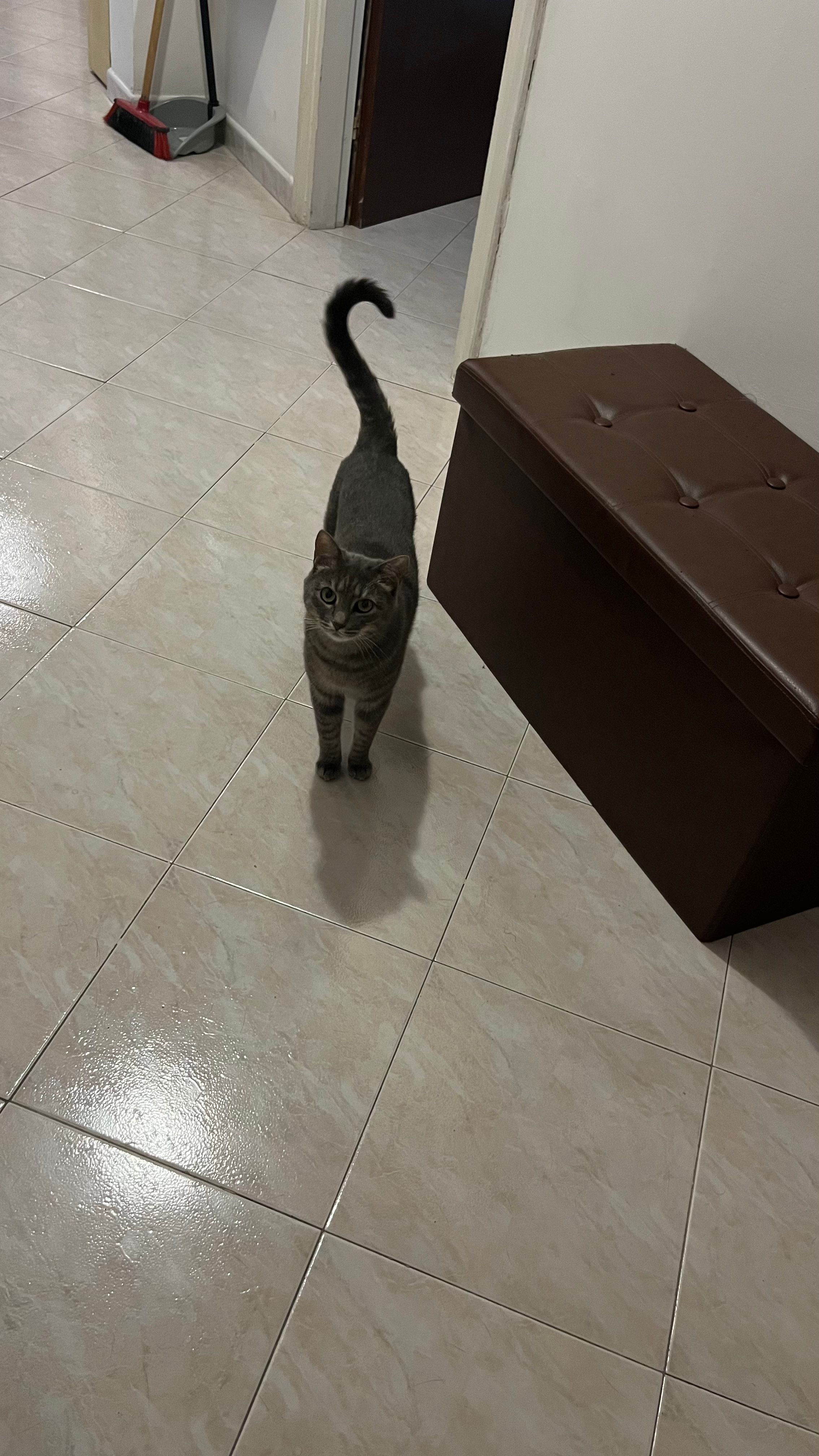 image-16
