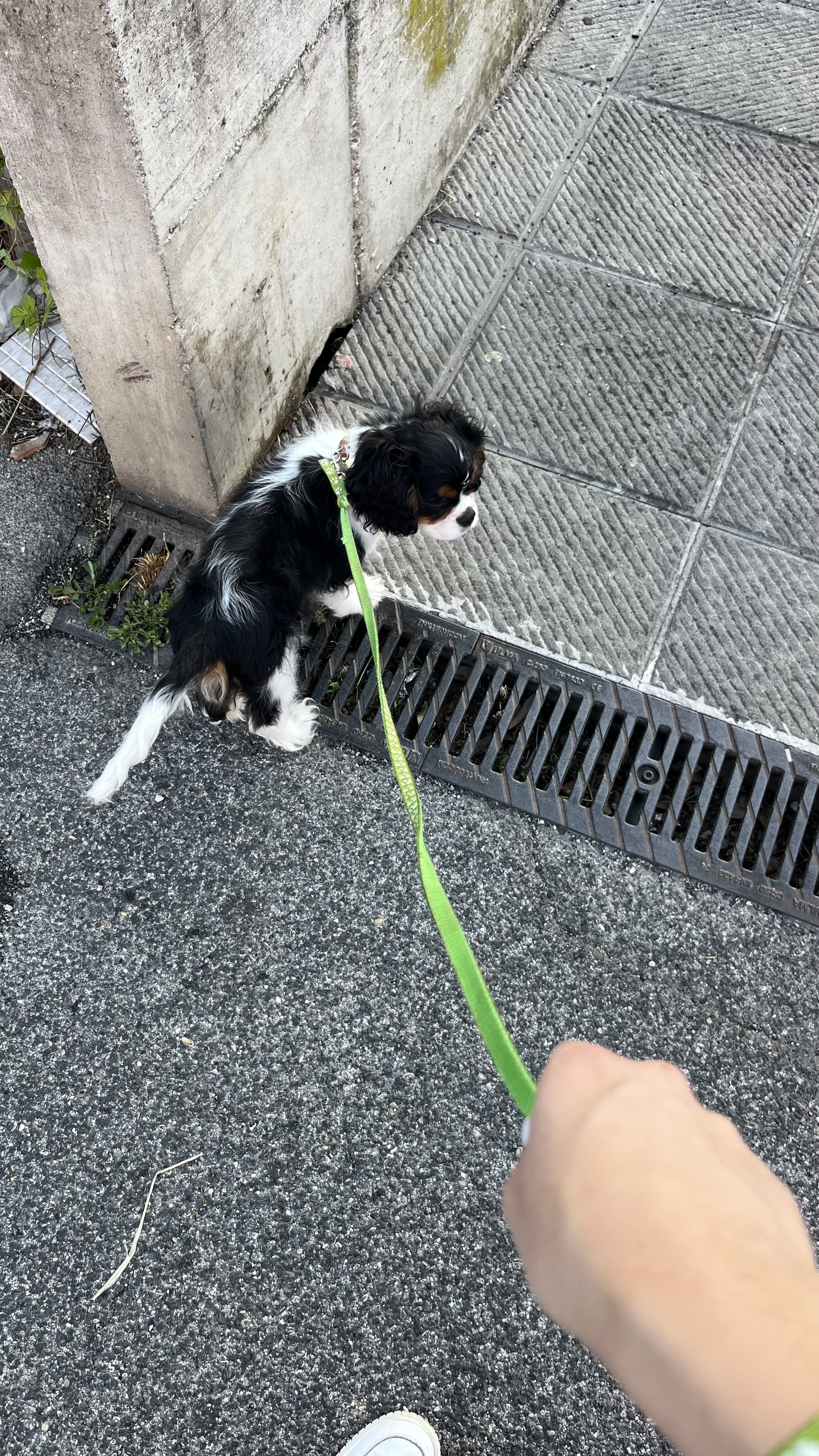 image-14