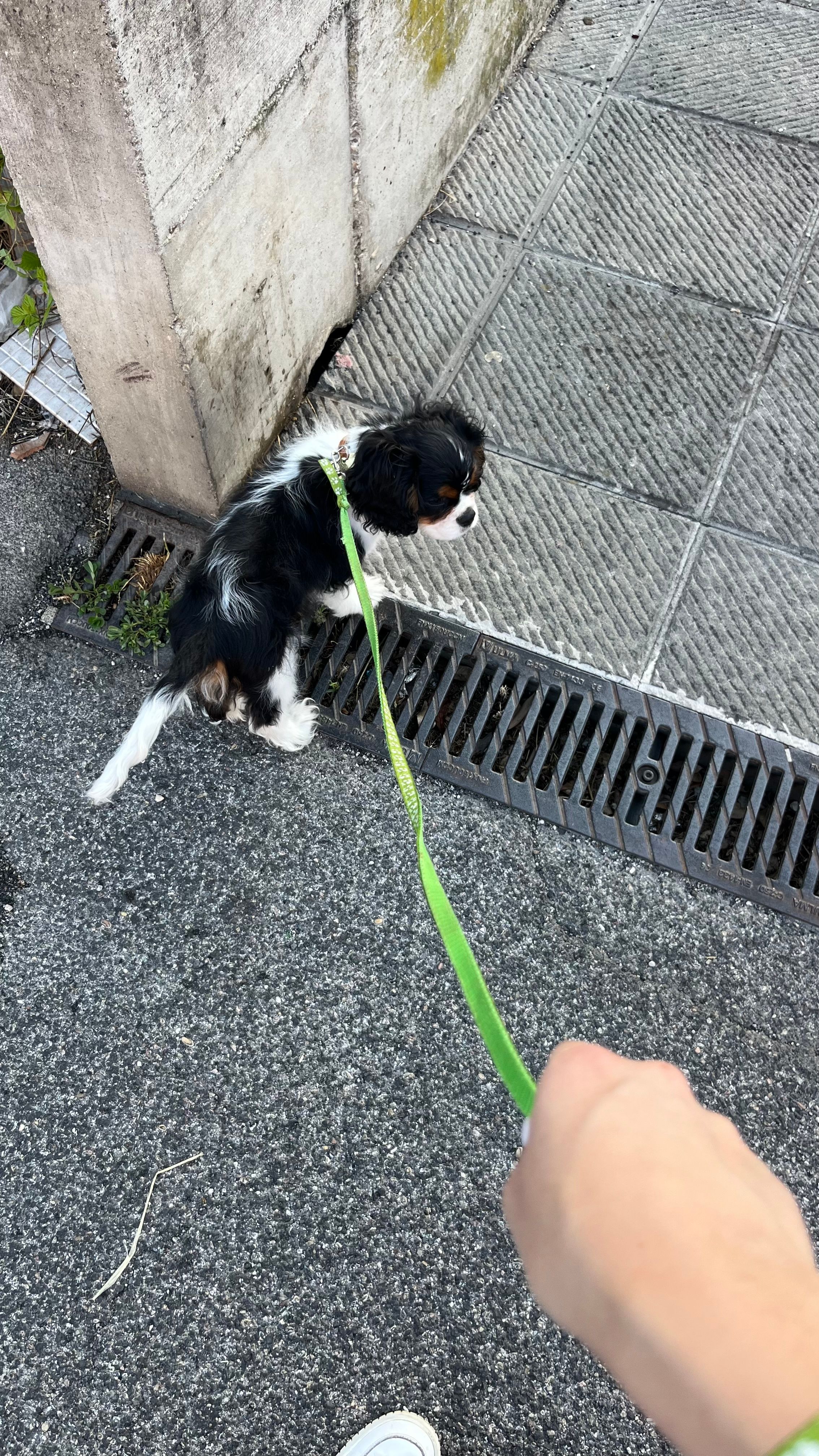 image-14