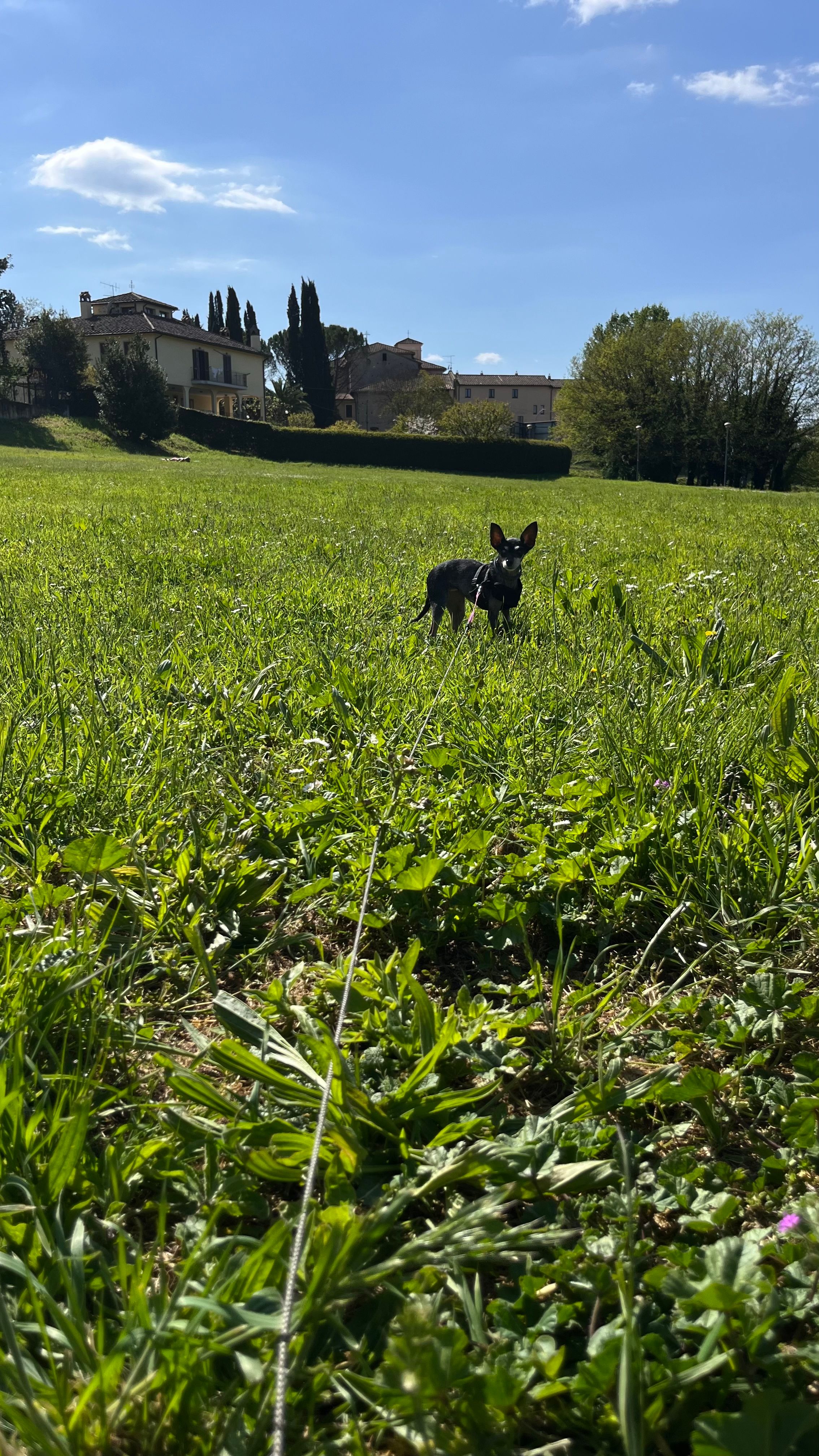 image-13