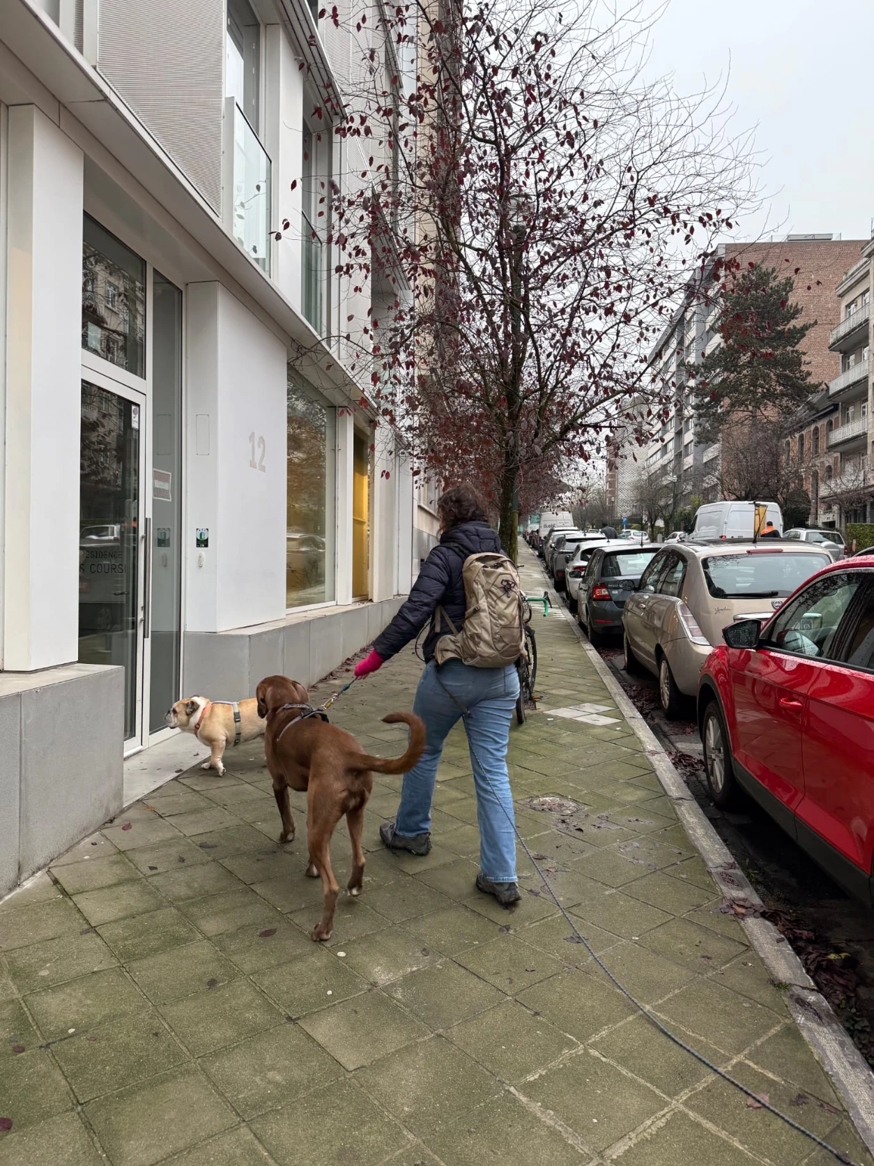 image-11