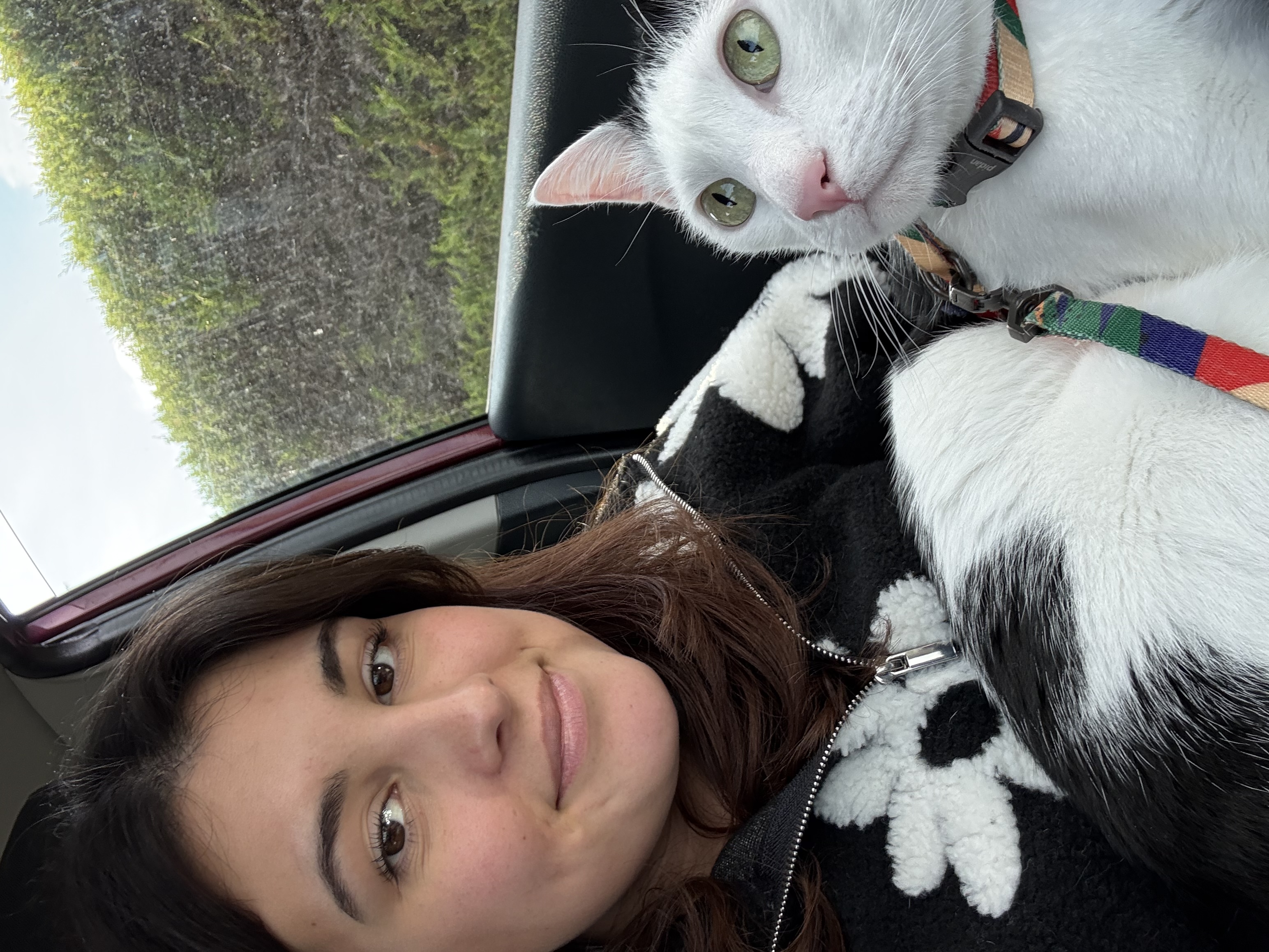 image-6