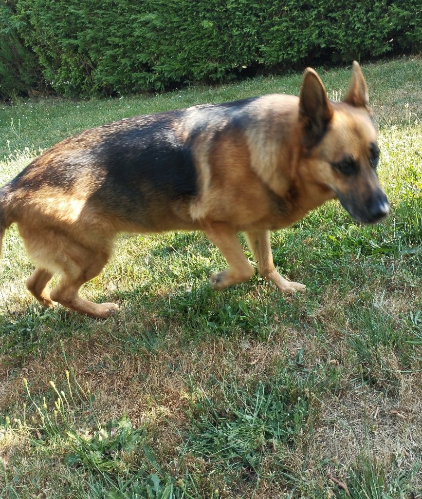 image-8