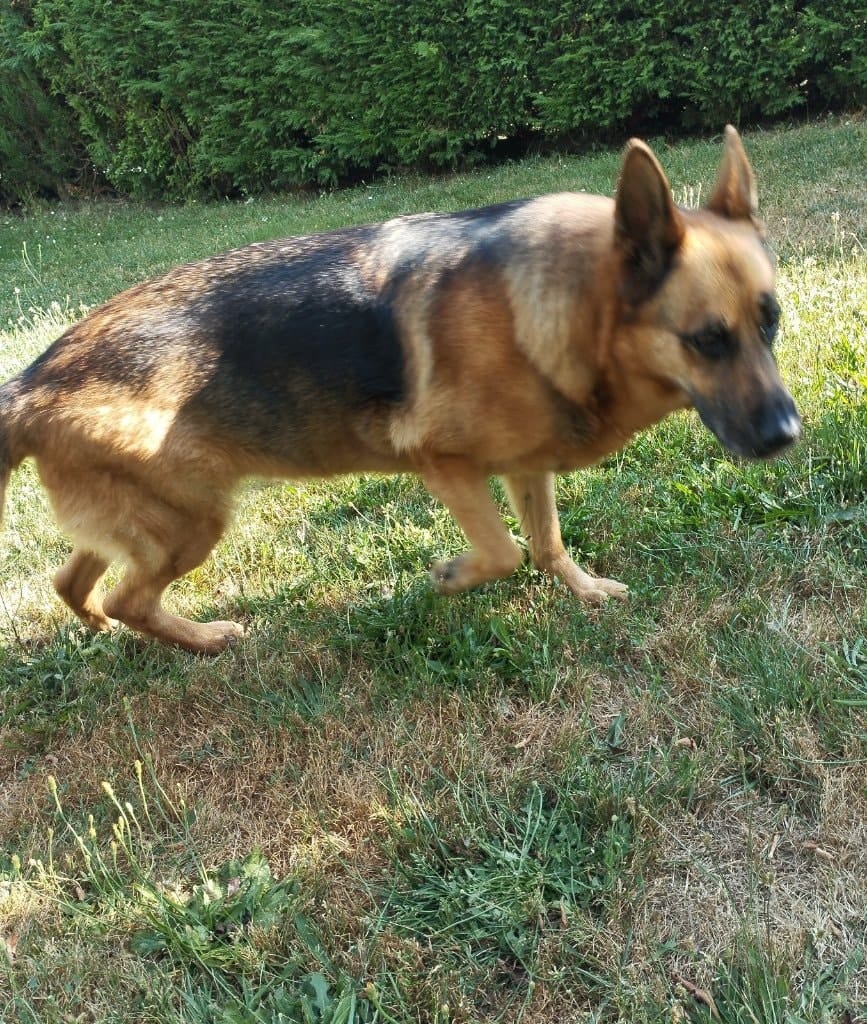 image-8
