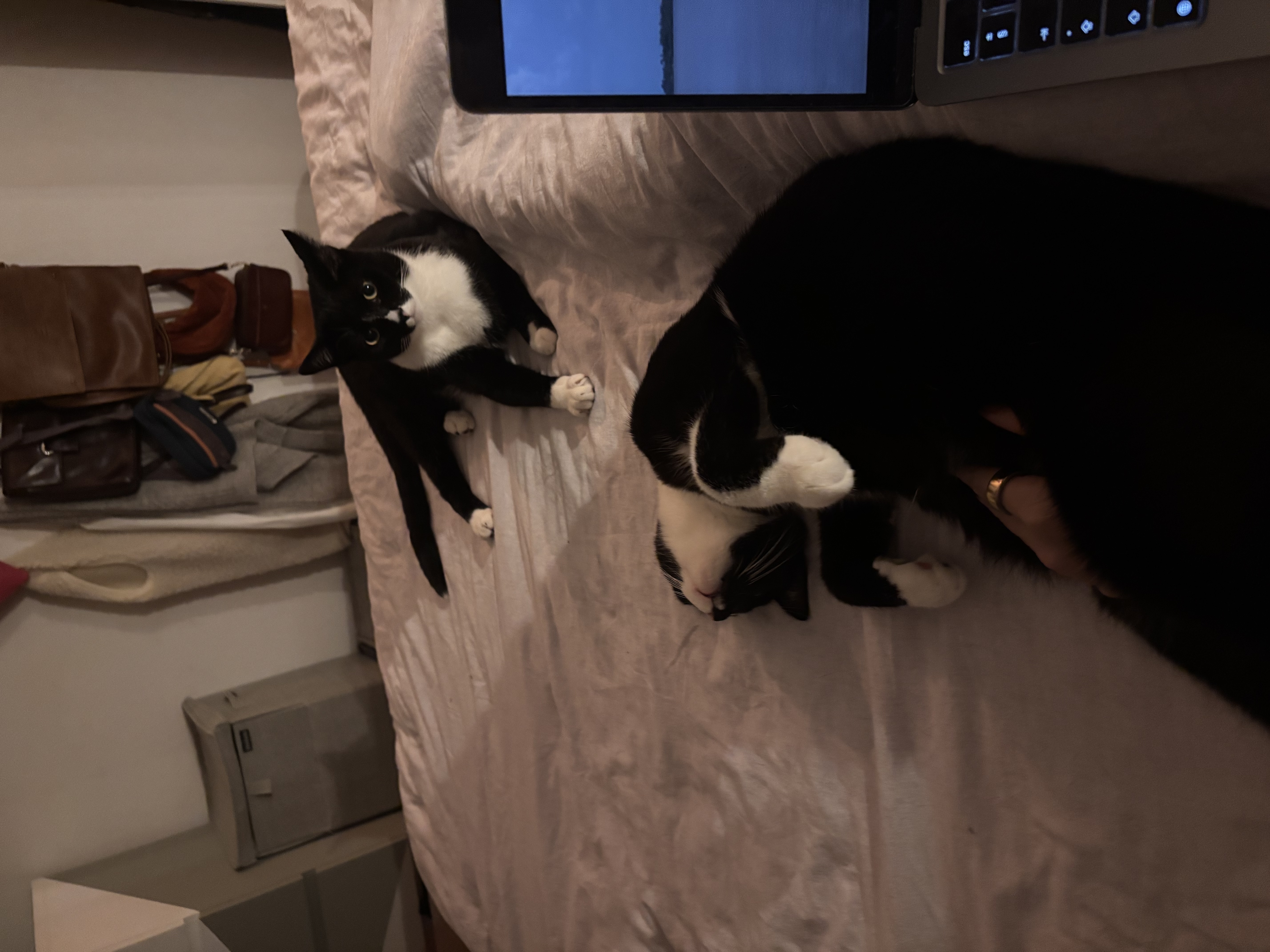 image-9